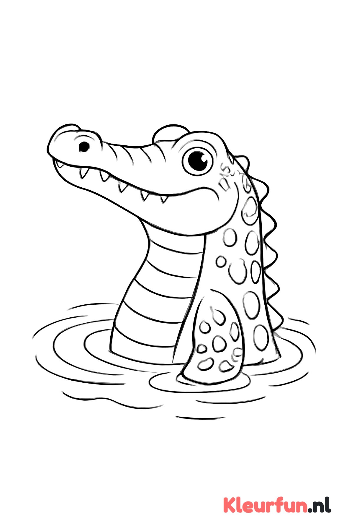 Krokodil steekt uit het water
