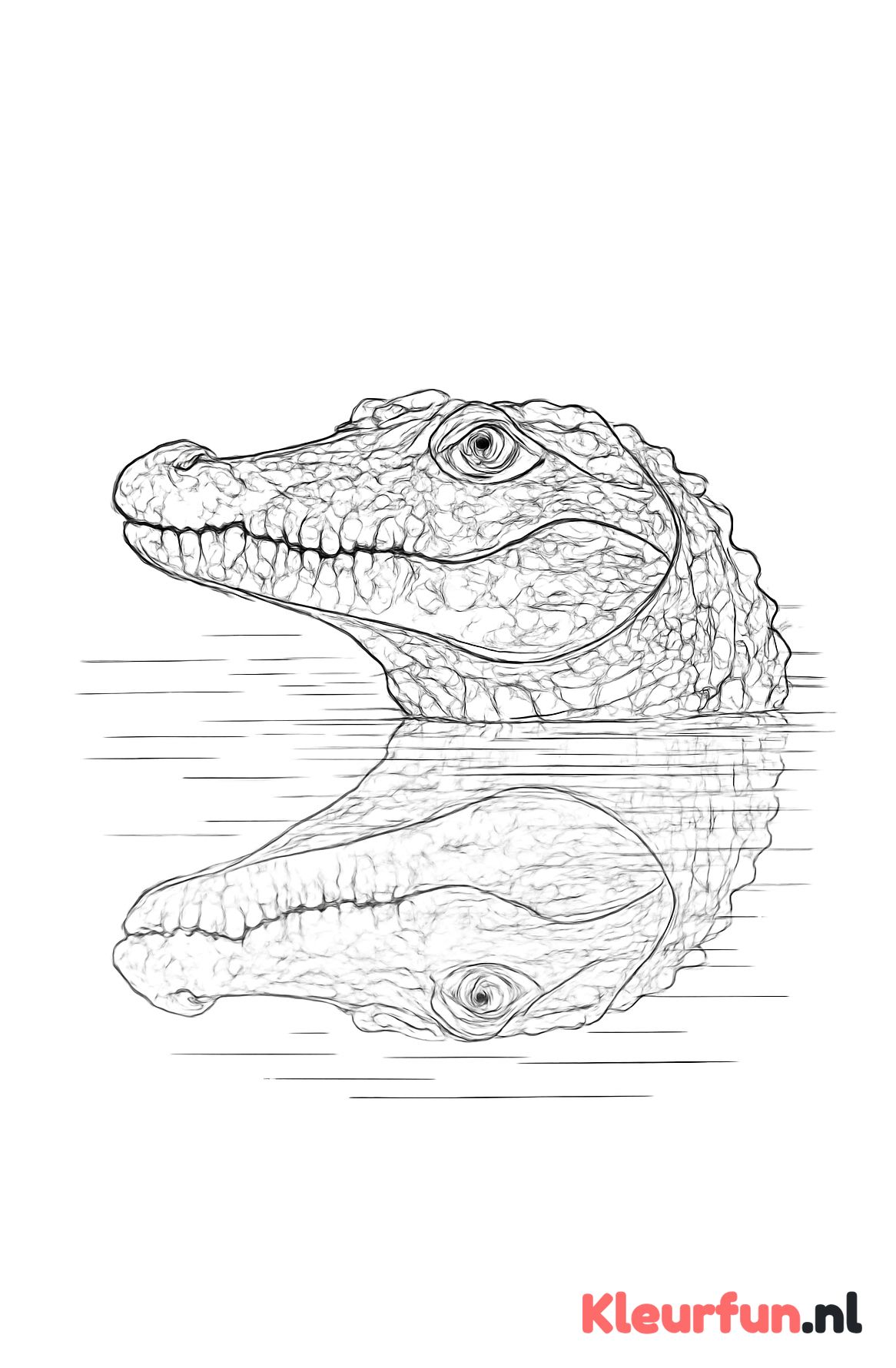 Krokodil die uit het water steekt