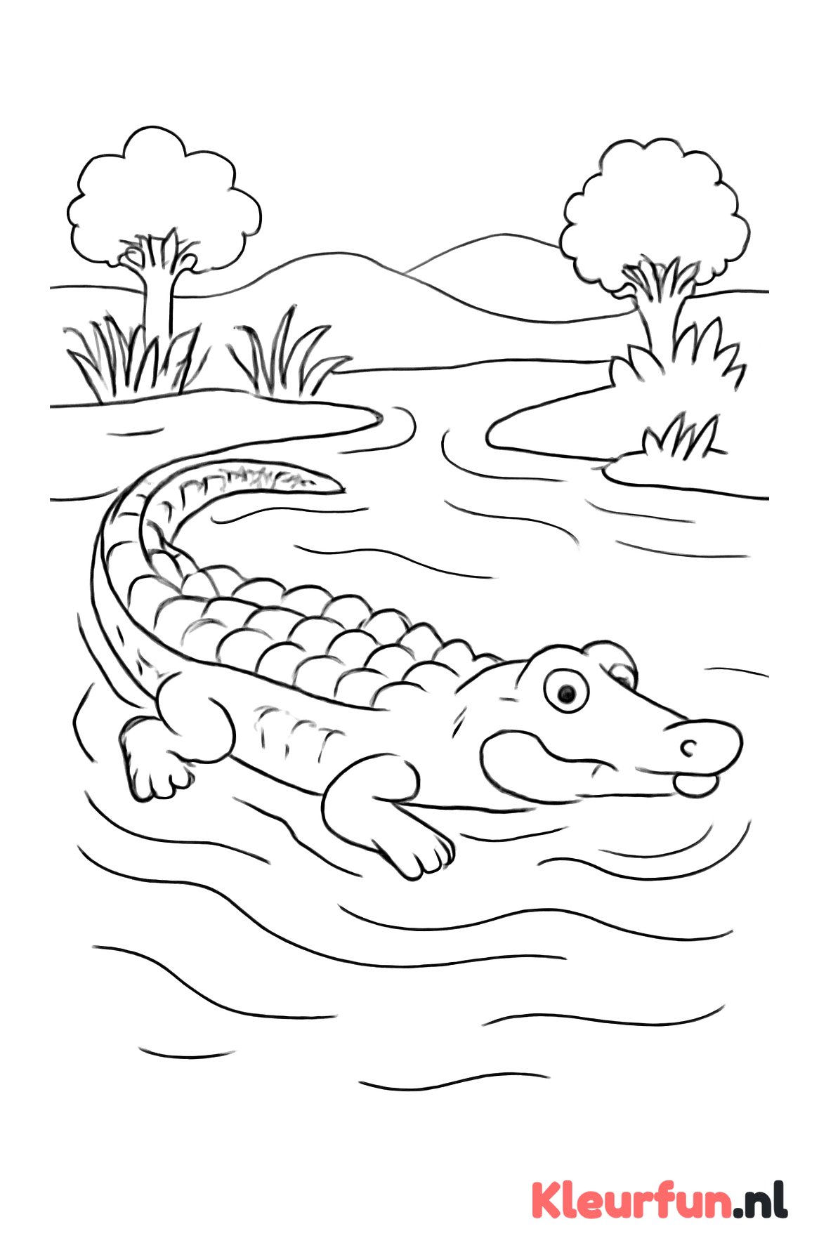 Krokodil zwemmend in de rivier