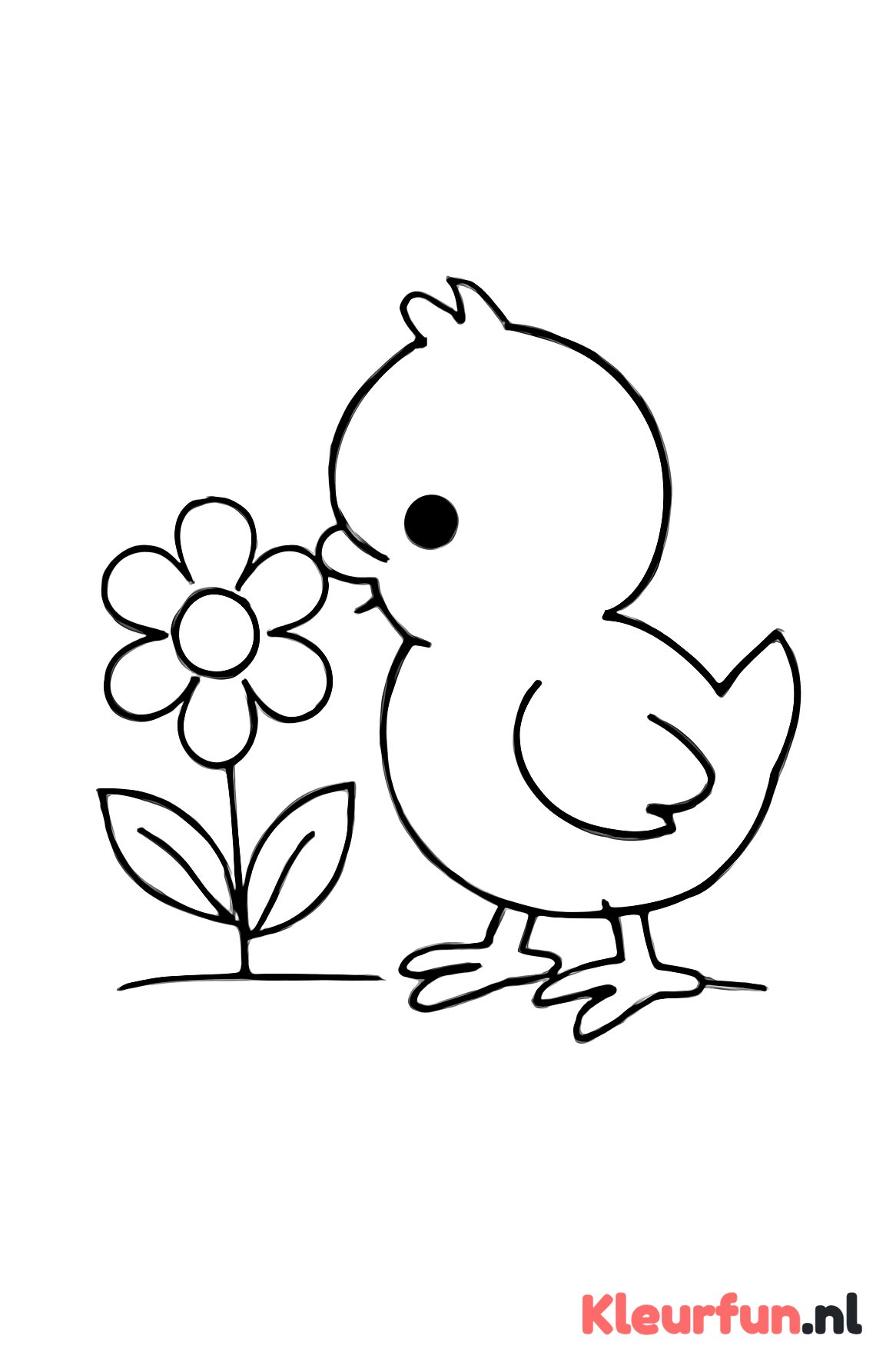 Kuikentje speelt met bloem