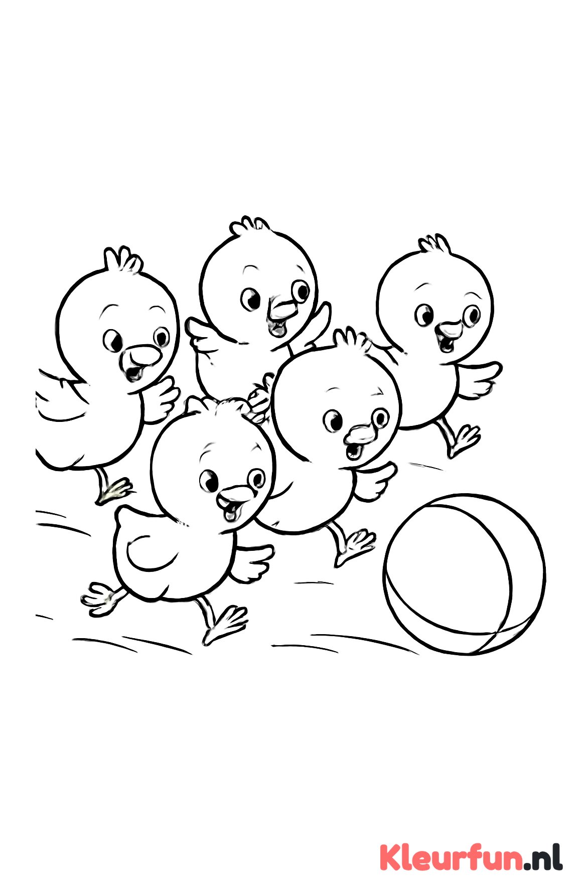 Kuikentjes rennen achter bal