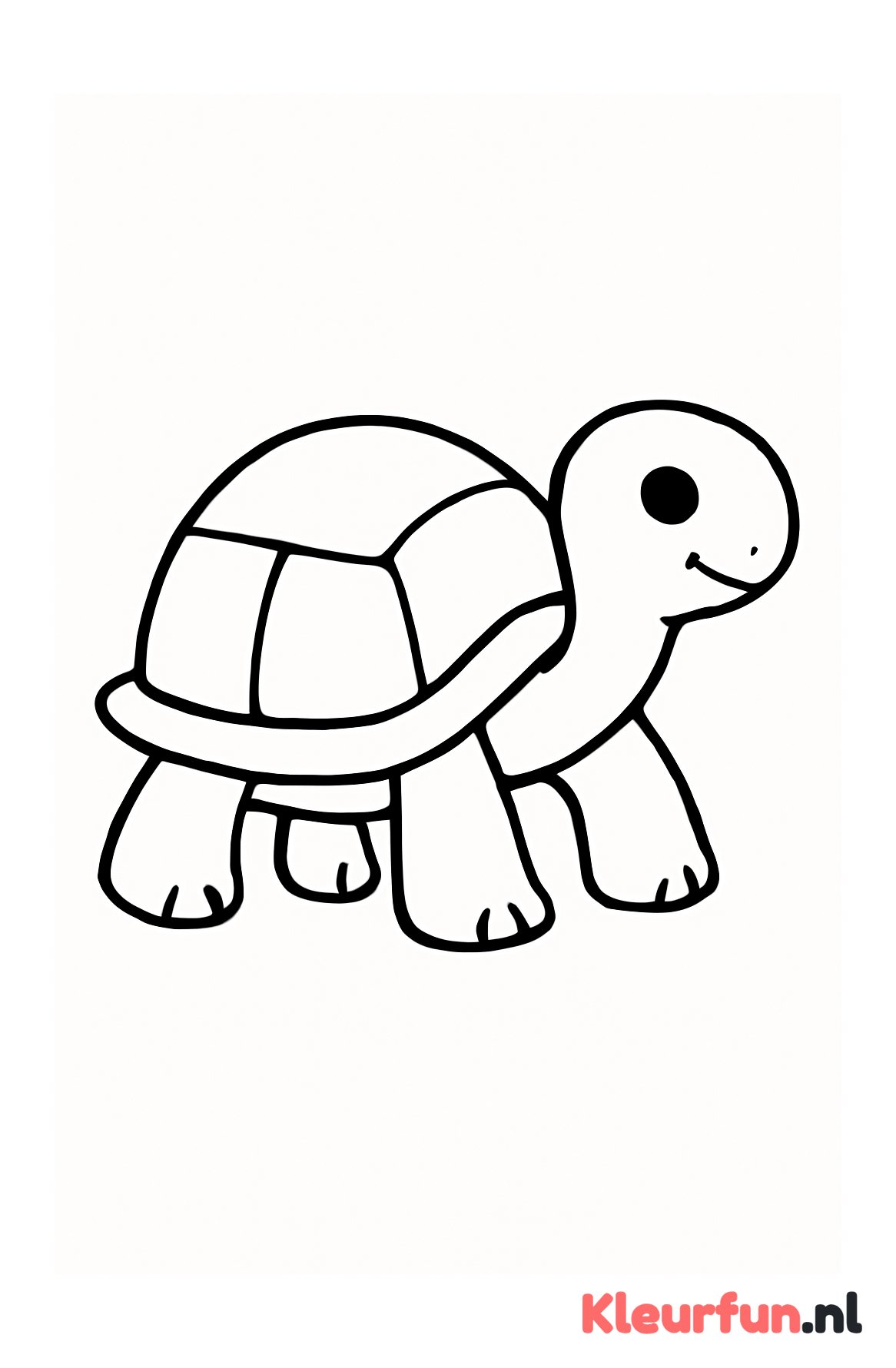 Langzaam lopende schildpad
