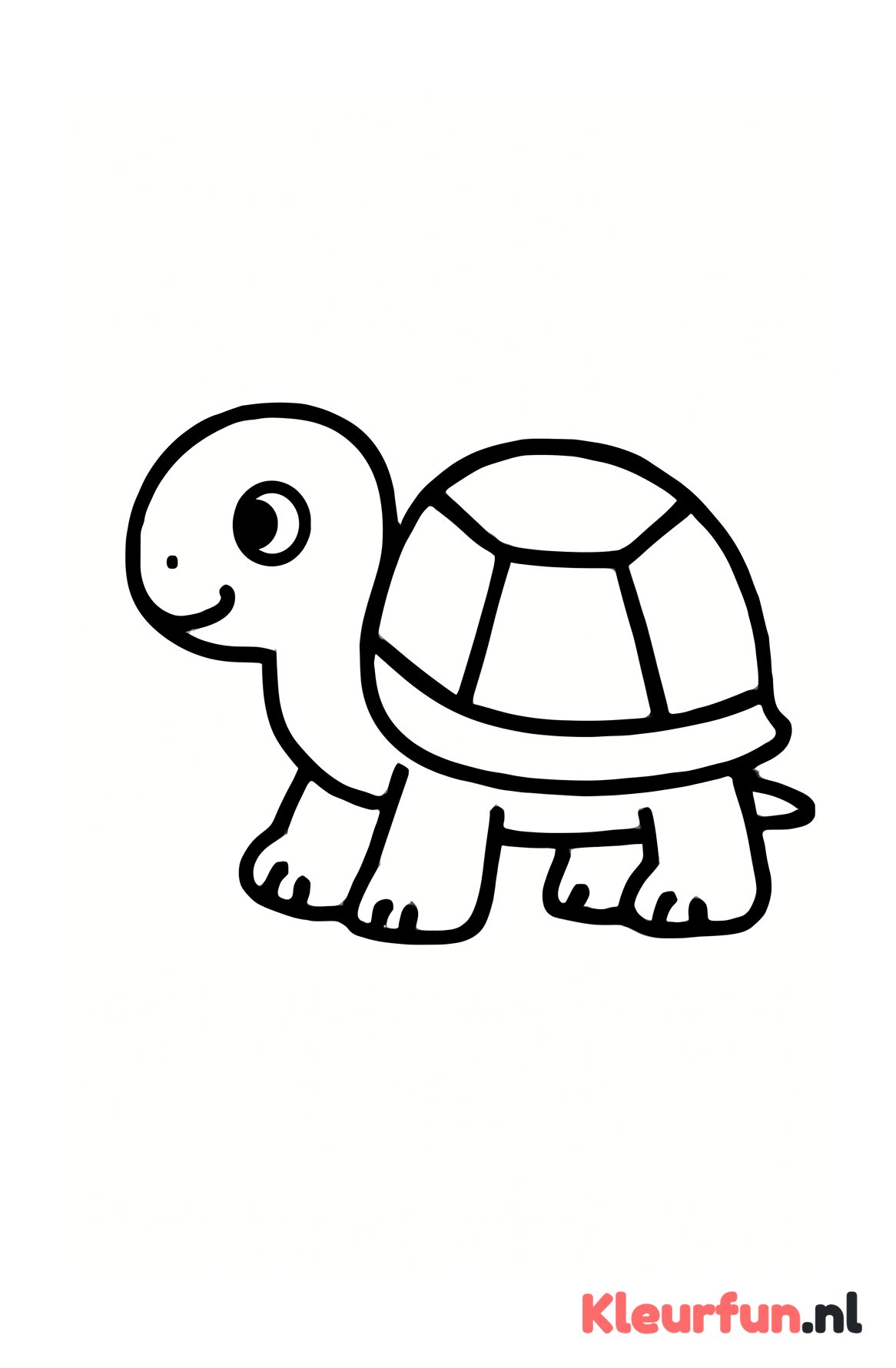 Langzame schildpad, eenvoudig design