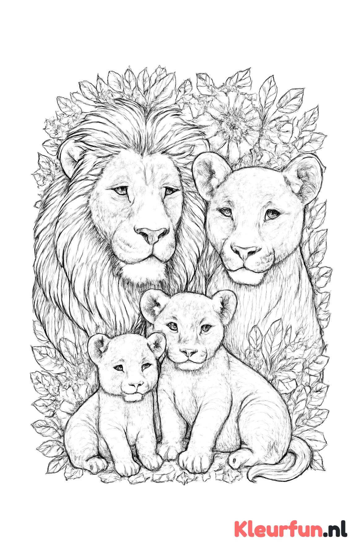 Leeuwenfamilie in Detail