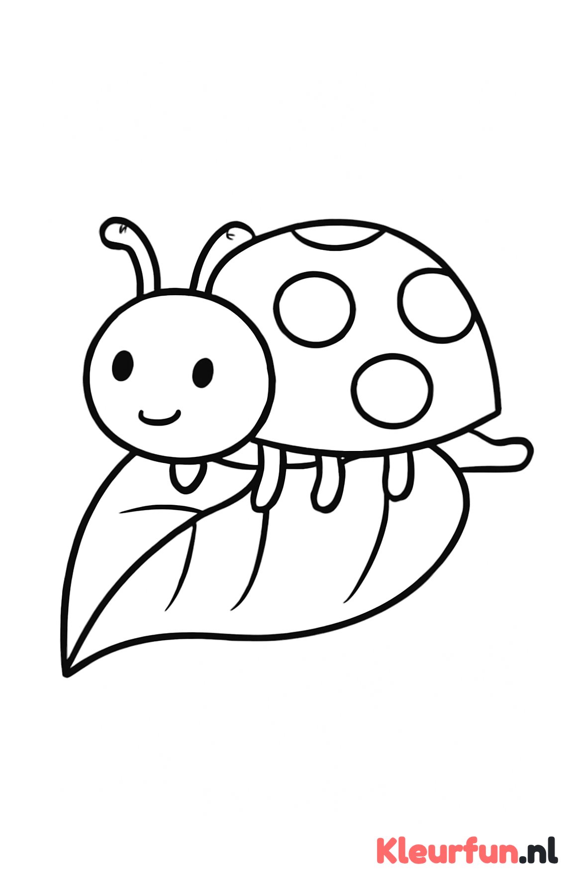 Lieveheersbeestje op blad