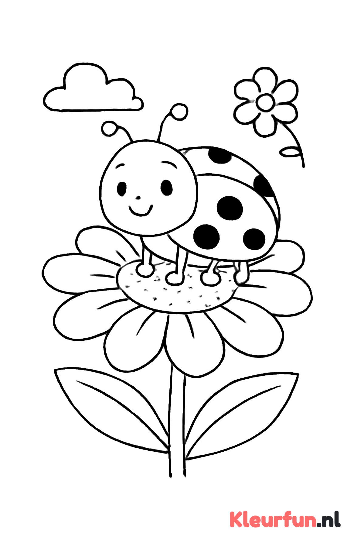 Lieveheersbeestje op bloem