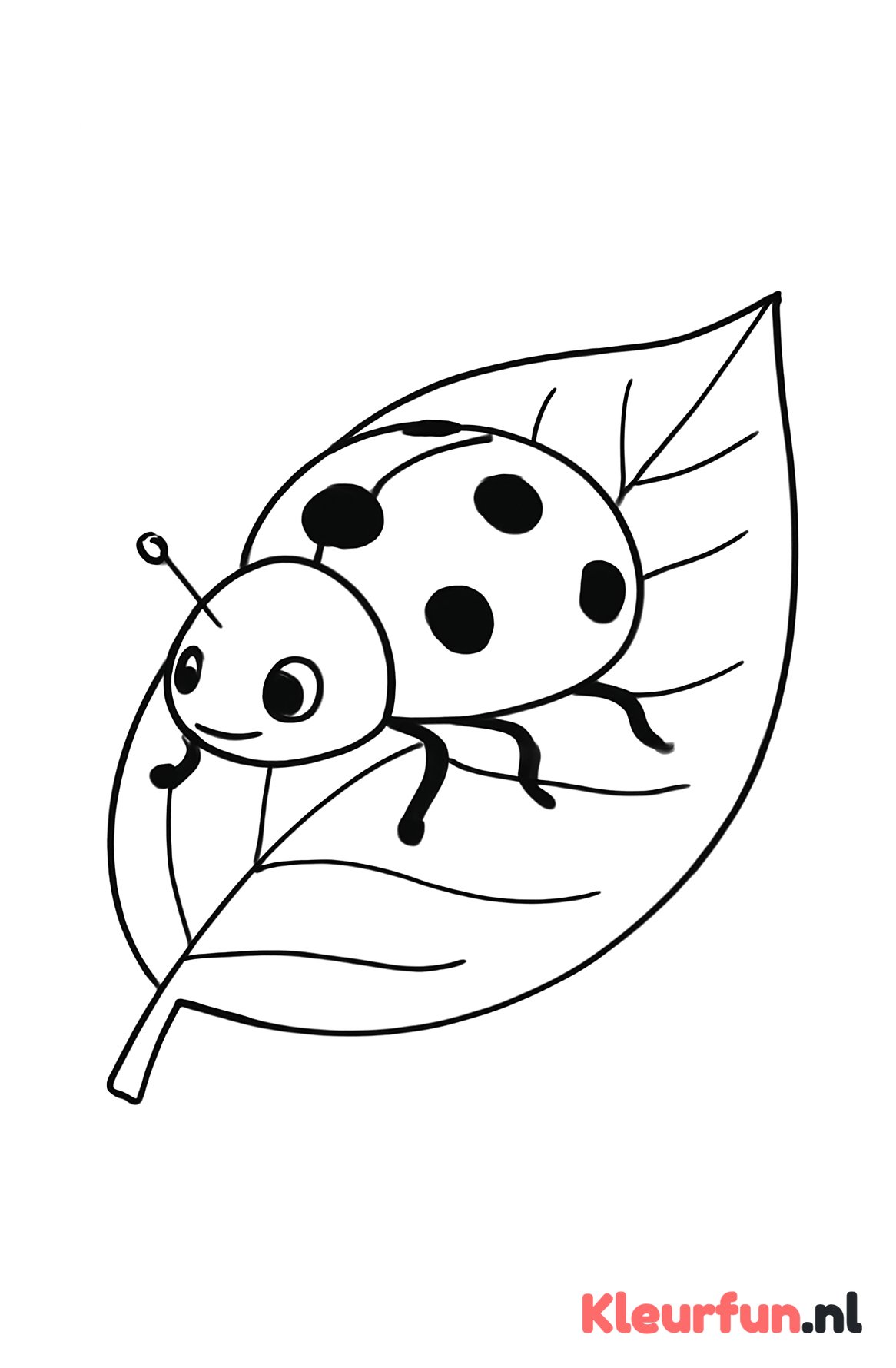Lieveheersbeestje op blad