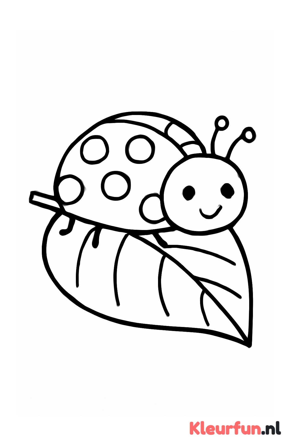 Lieveheersbeestje op een blad