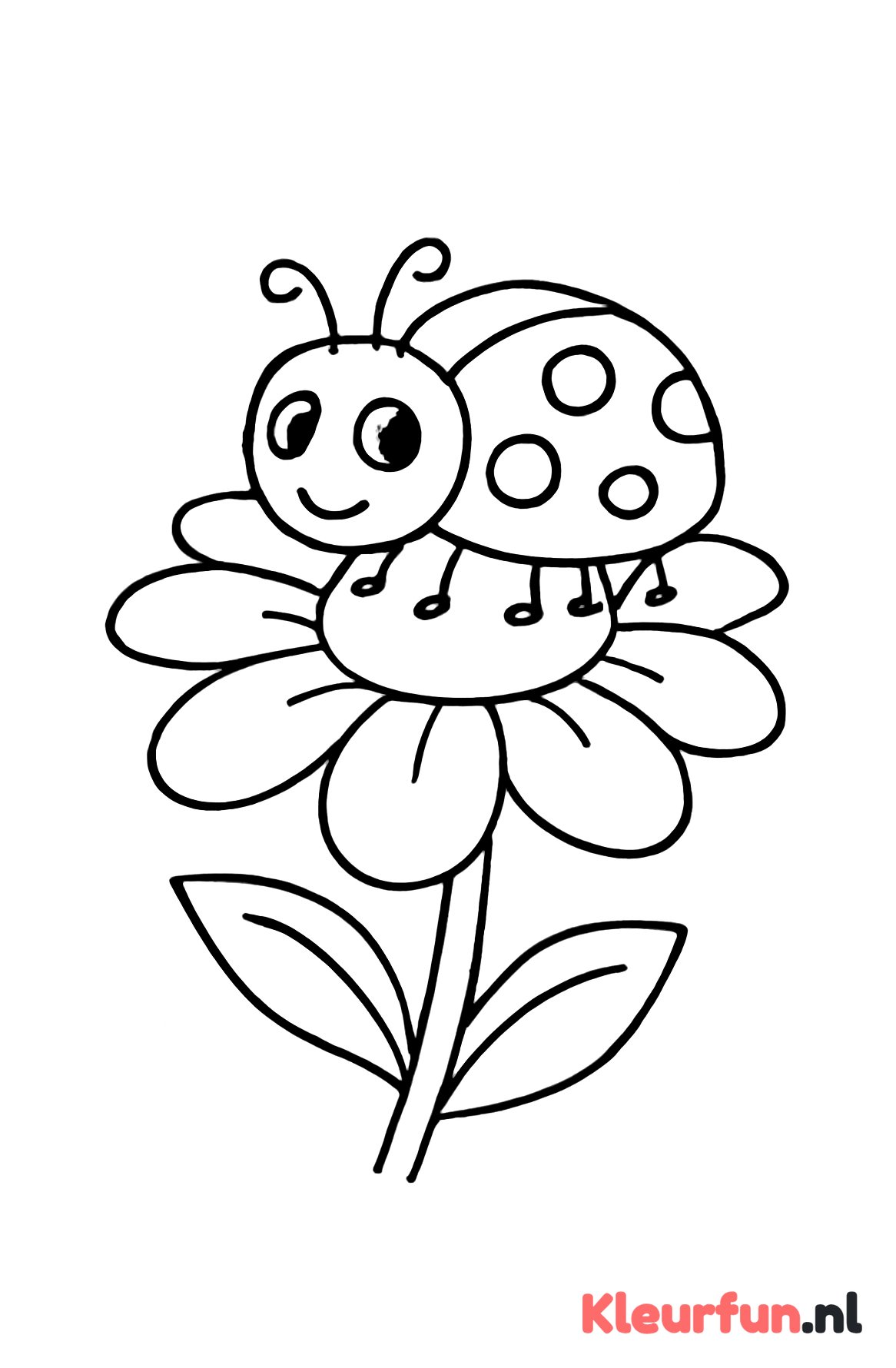 Lieveheersbeestje op een bloem