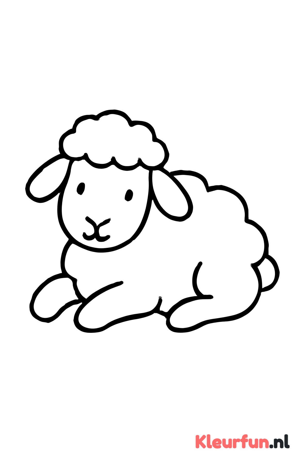Liggend simpel schaap