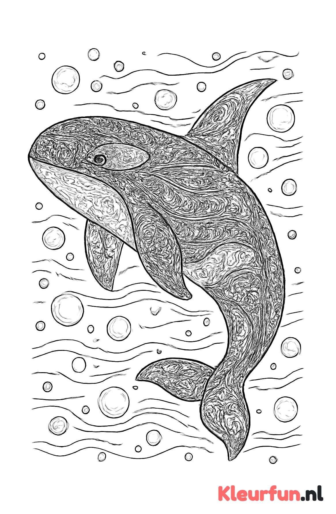 Majestueuze orka in oceaan
