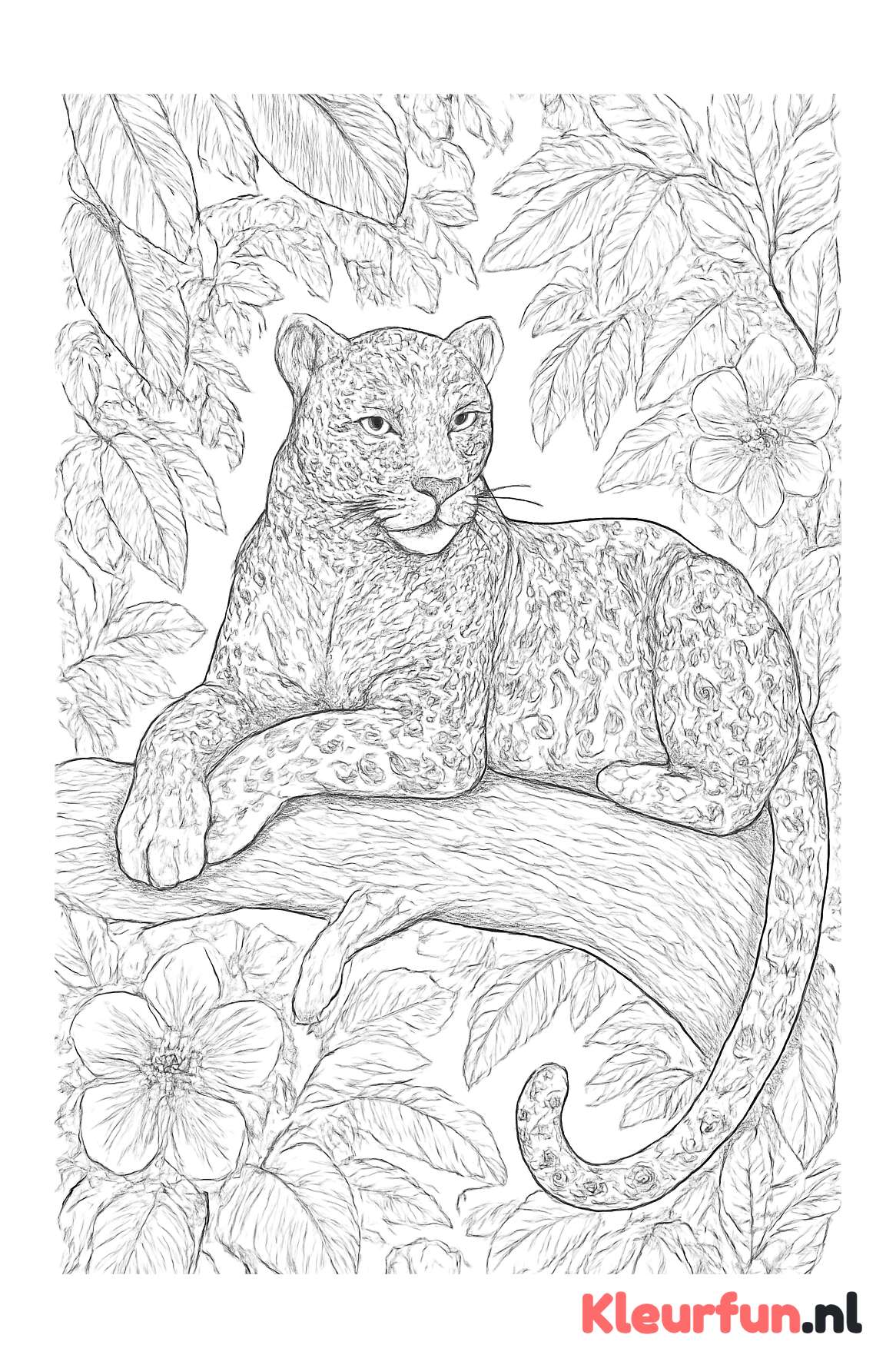 Majestueuze panter in de jungle