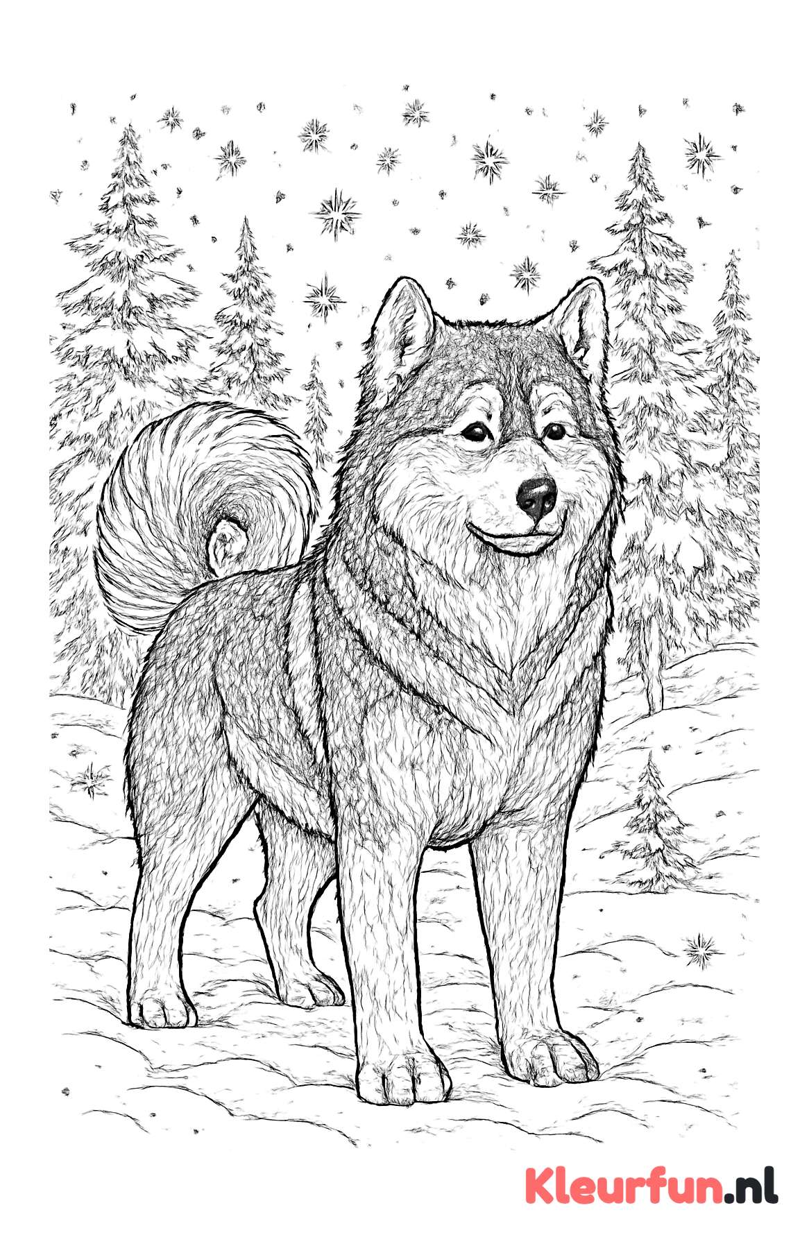 Malamute in de Sneeuw