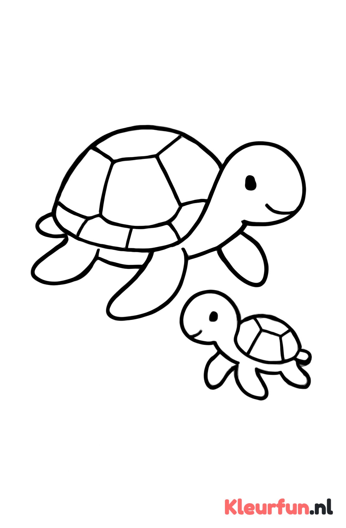 Mamma en baby zeeschildpad