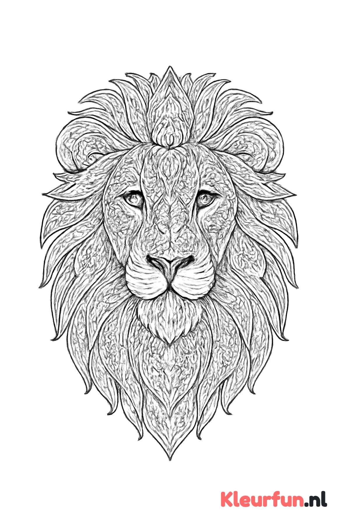Mandala Leeuwenhoofd