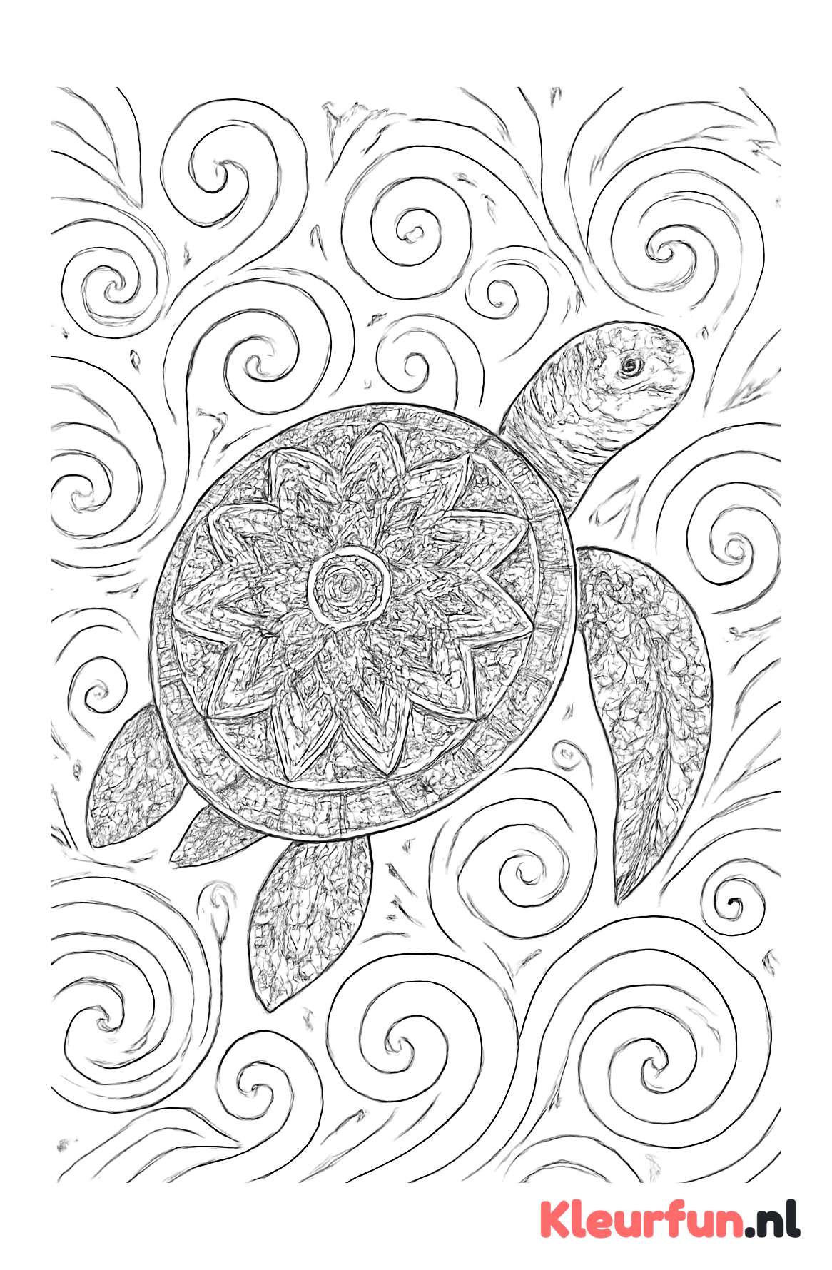 Schildpad met mandala patroon
