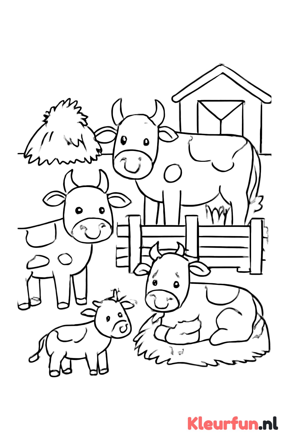 Meerdere koeien op de boerderij