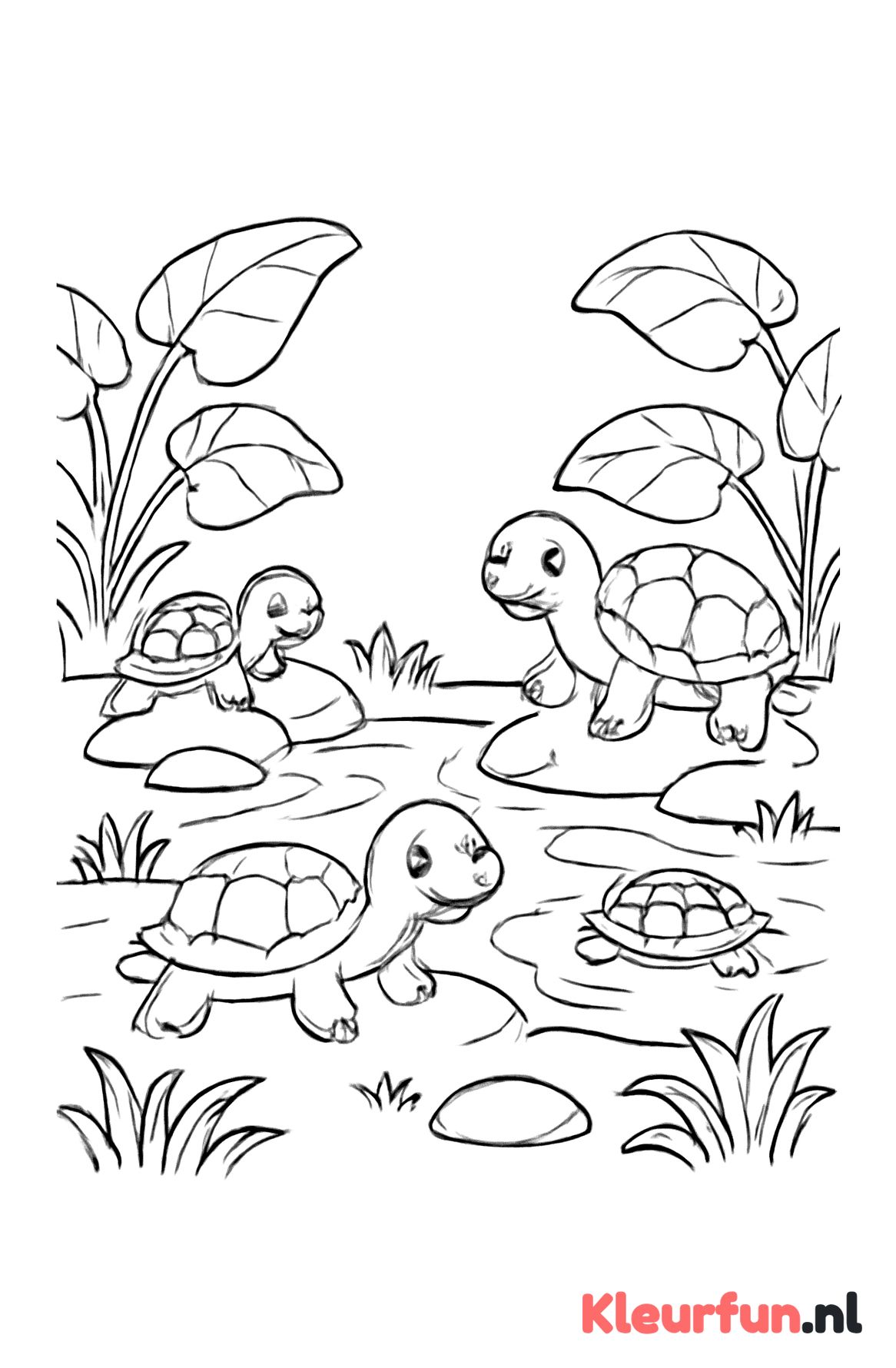 Meerdere schildpadden bij vijver