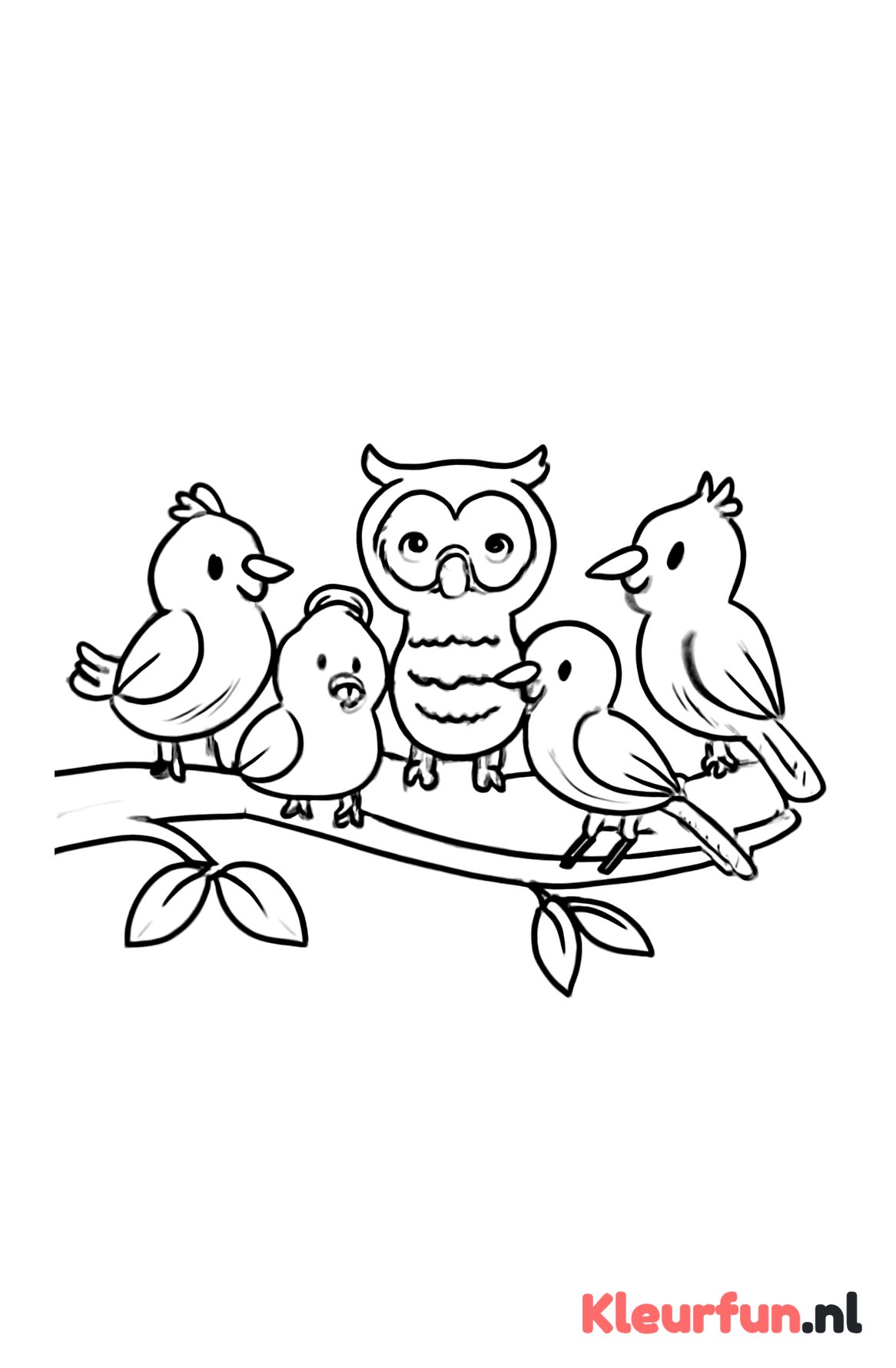 Meerdere vogels op een tak