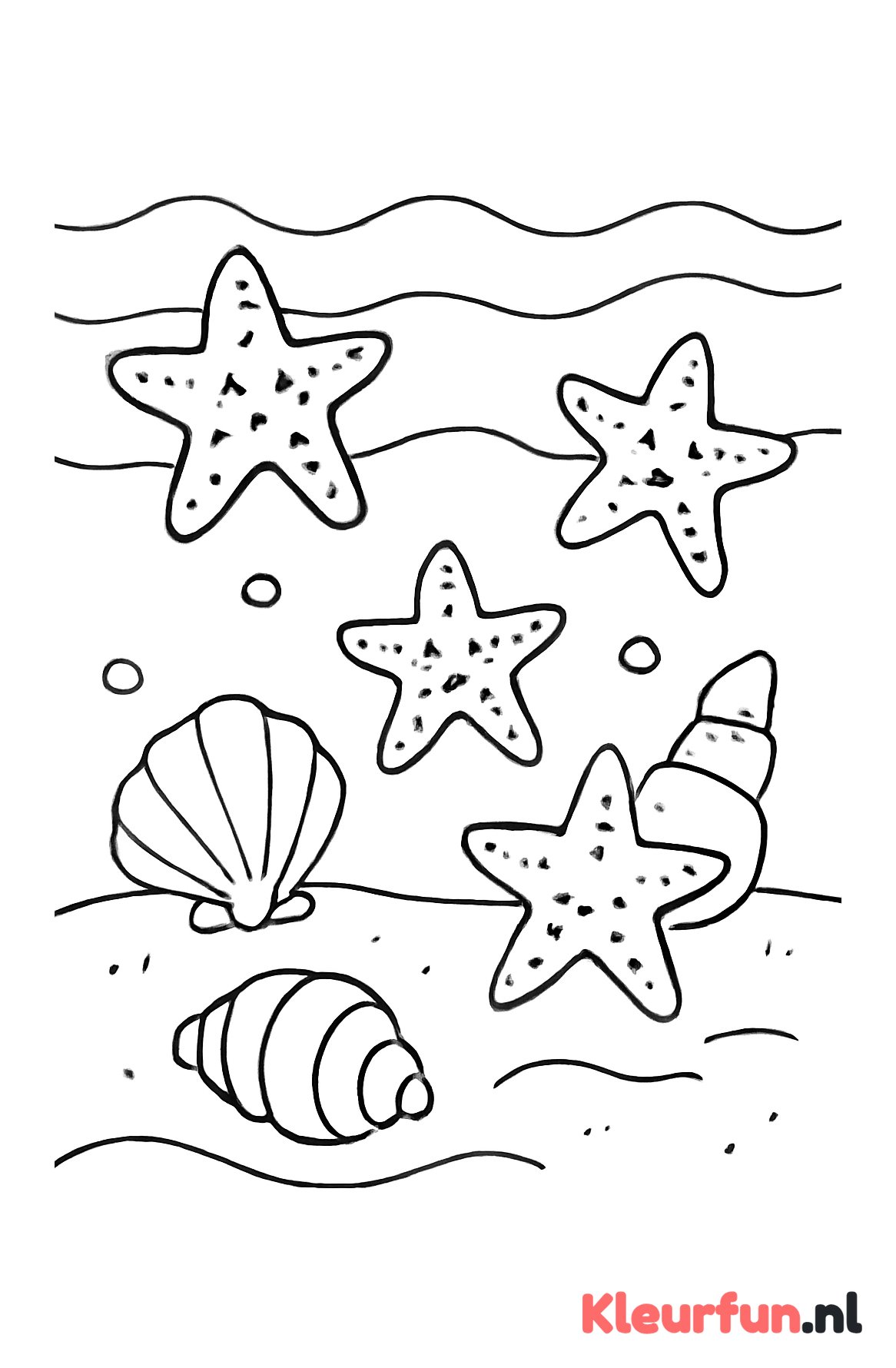 Meerdere zeesterren op zeebodem