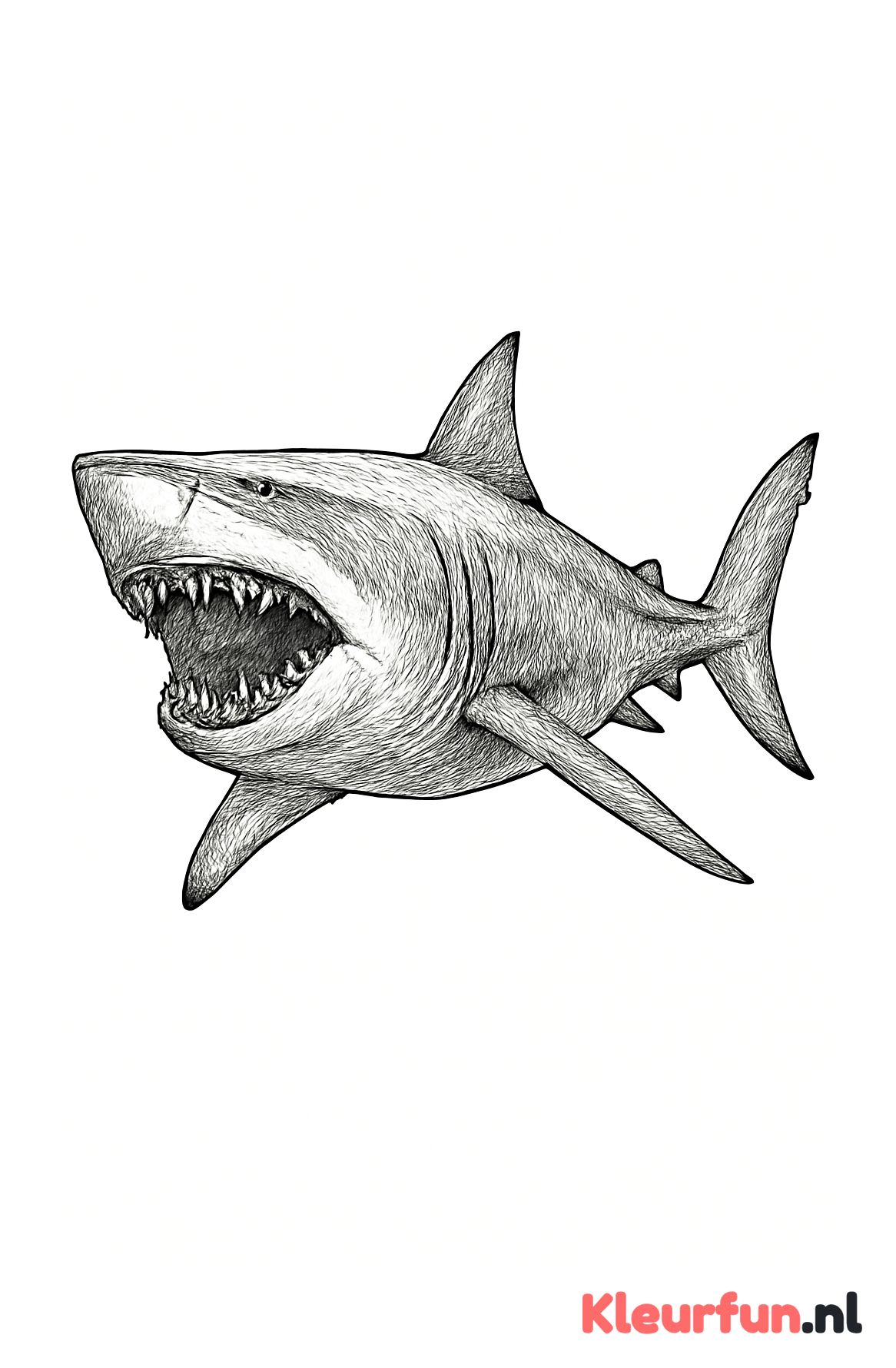 Prehistorische megalodon