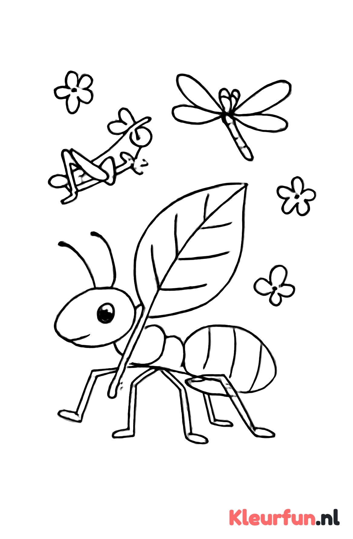 Mier met insectenvrienden