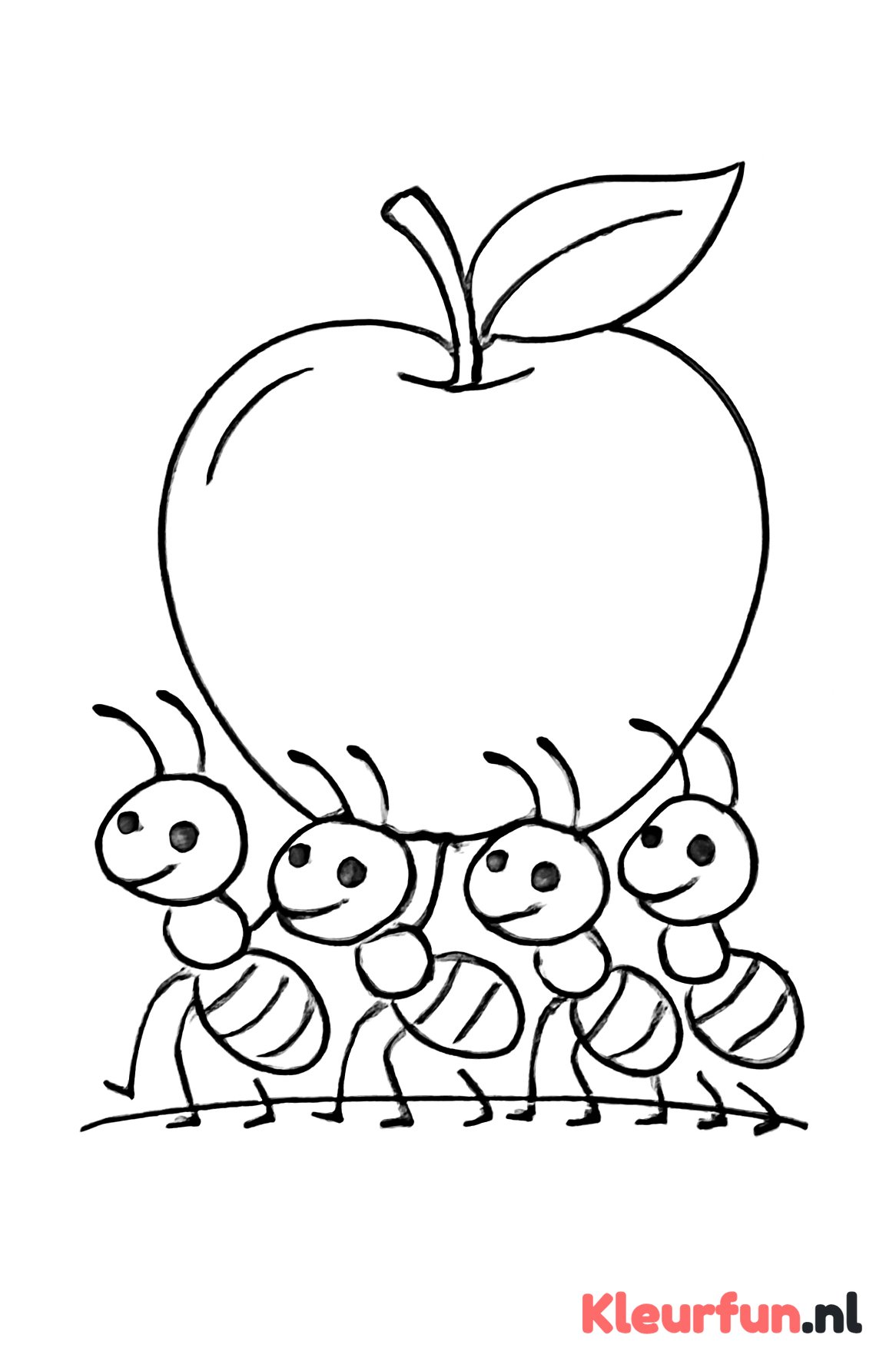 Mieren dragen samen een appel