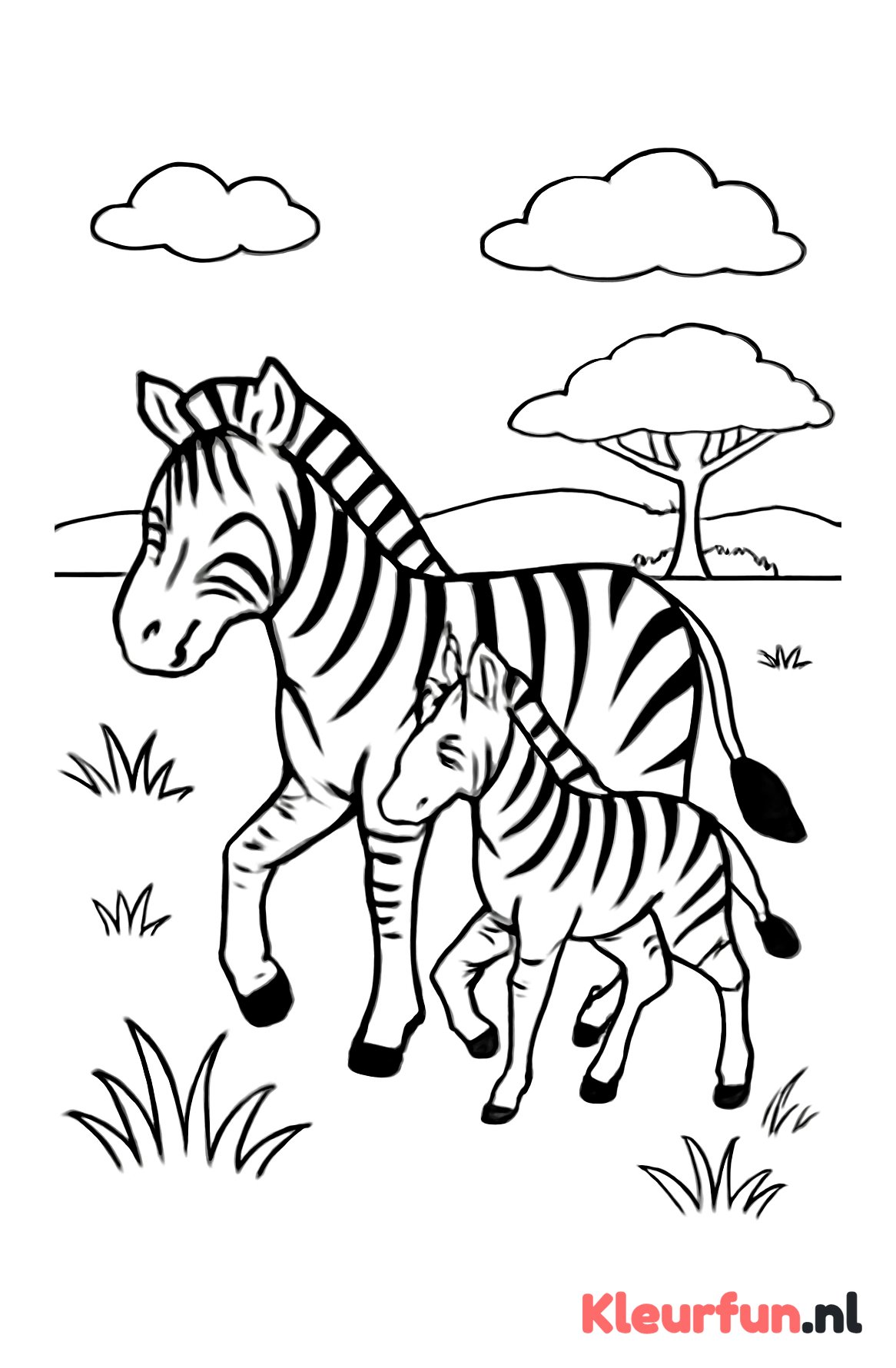 Moeder en Jong Zebra