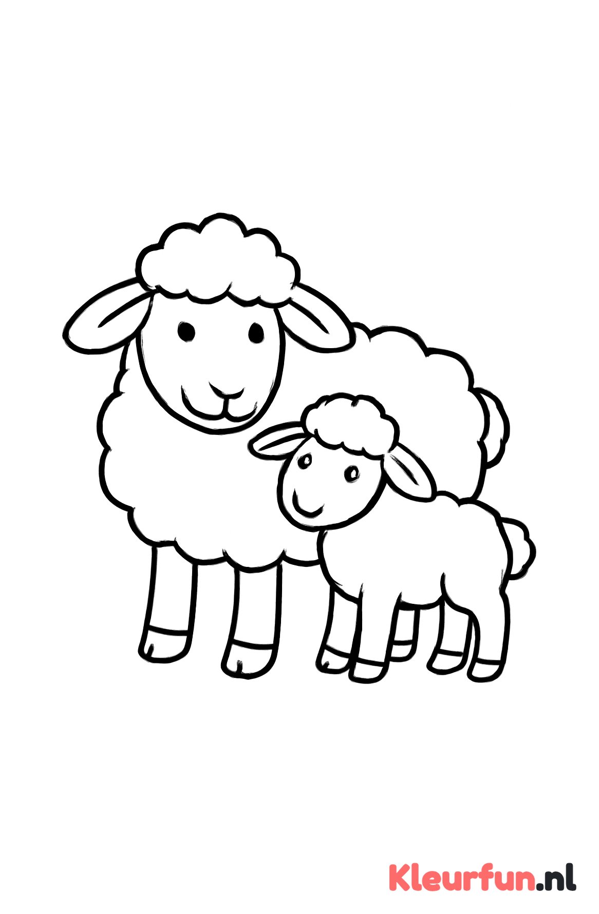 Moeder schaap met lammetje