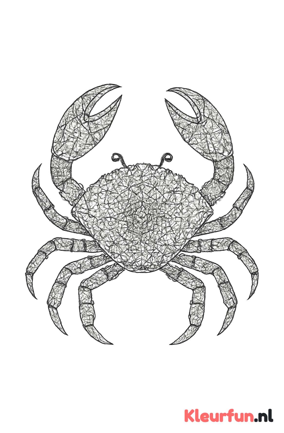 Mozaïek krab