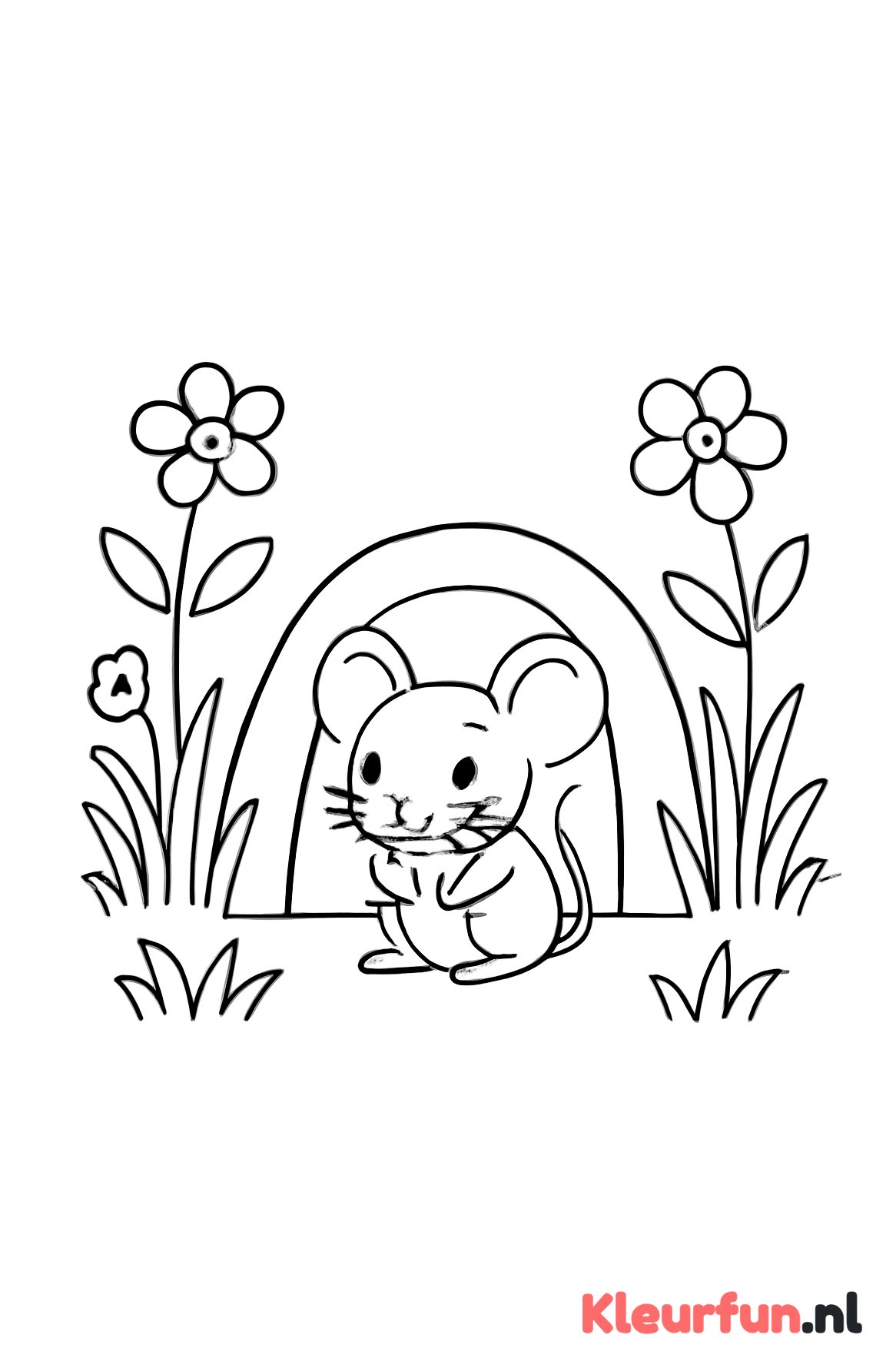 Muis in holletje