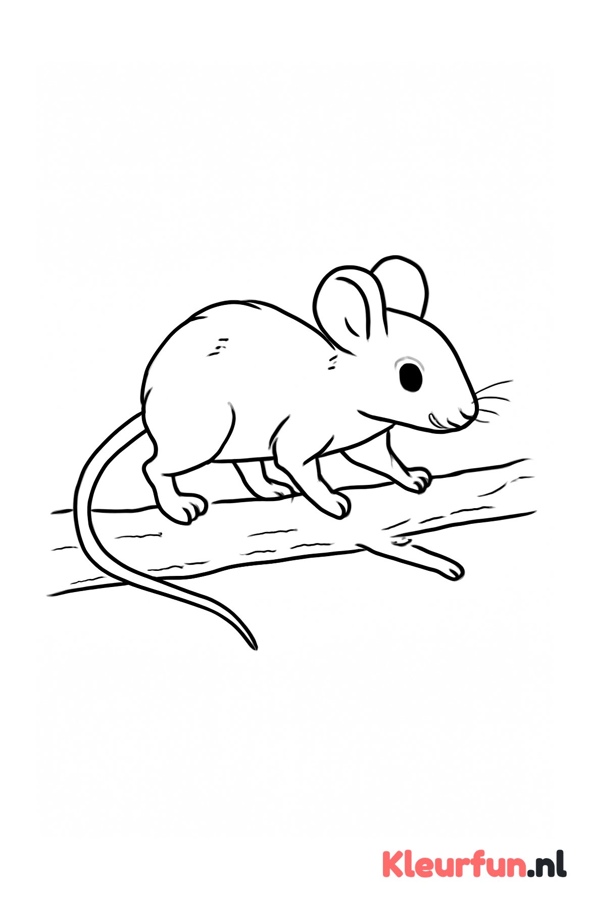 Muis op een tak