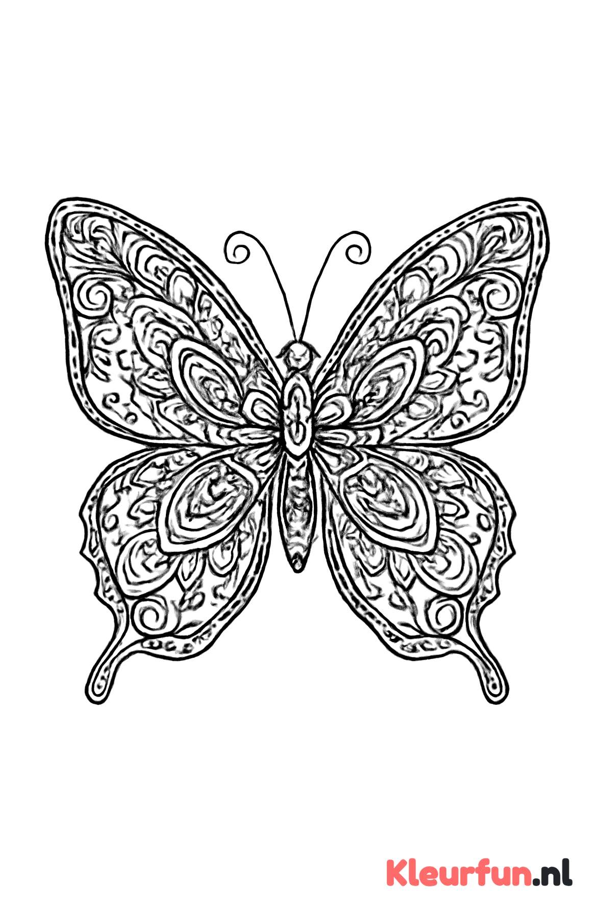 Mystieke vlinder met mandala-patronen