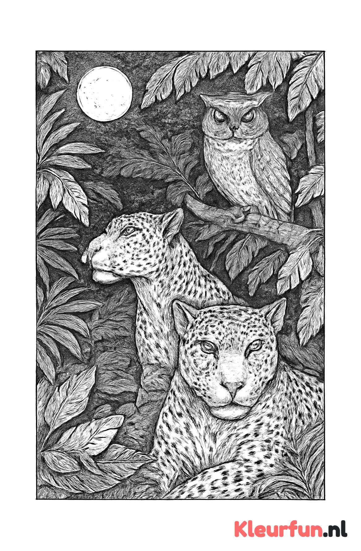 Nachtelijke dieren in de jungle
