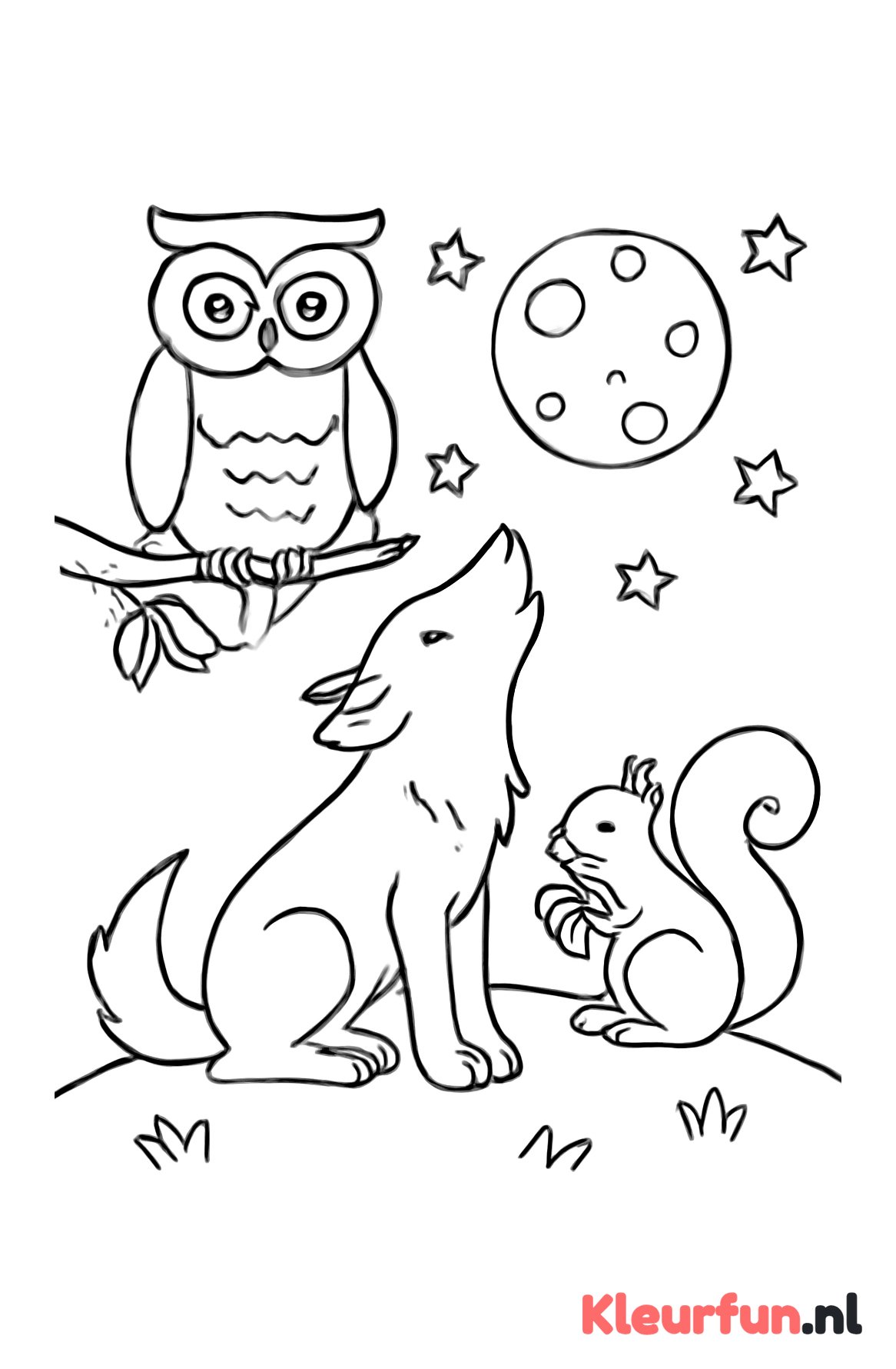 Nachtelijke wilde dieren
