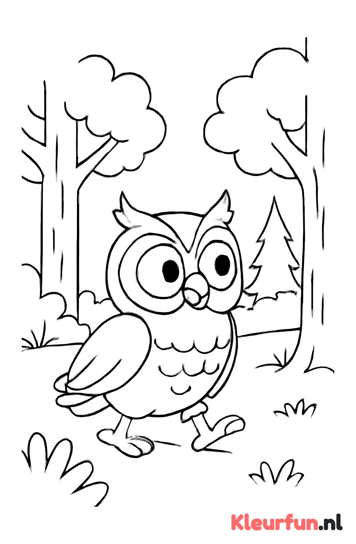 Nieuwsgierige uil in het bos
