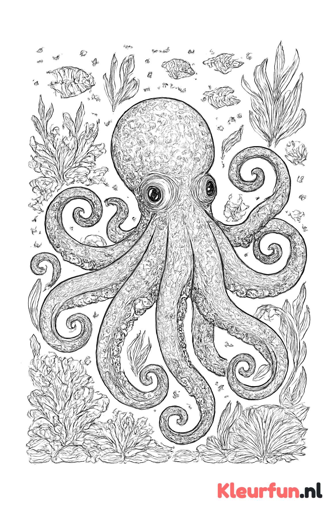 Grote octopus in zee