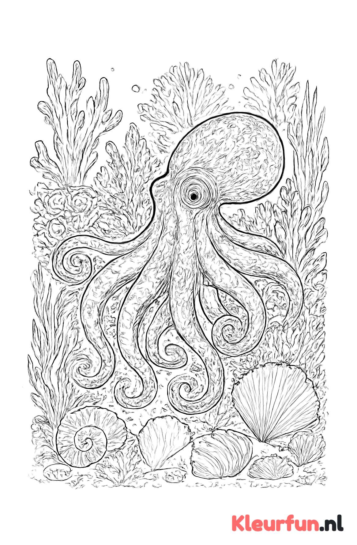 Octopus tussen koraal
