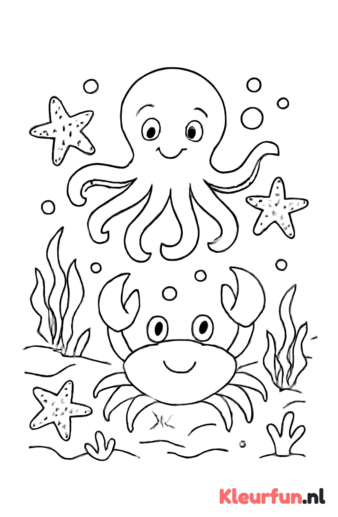 Octopus, krab en zeesterren onder water
