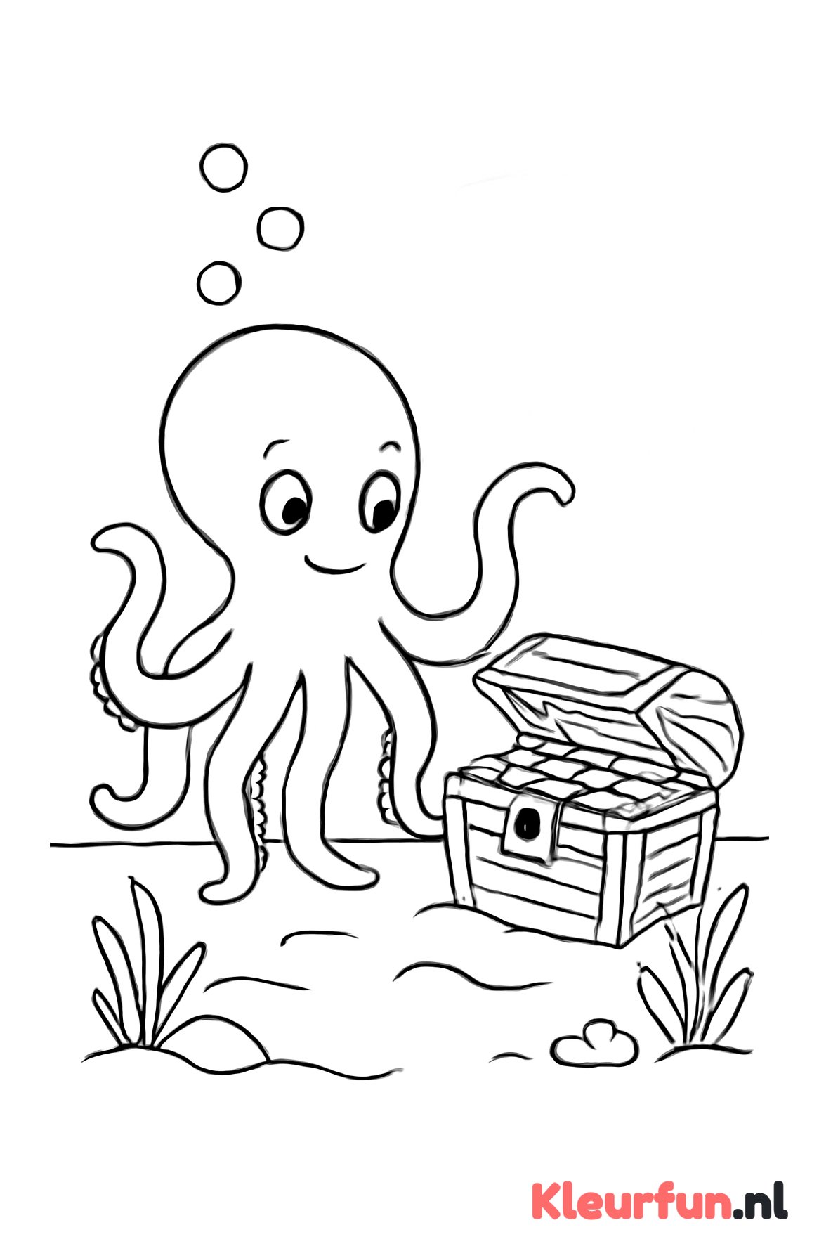 Octopus ontdekt schatkist