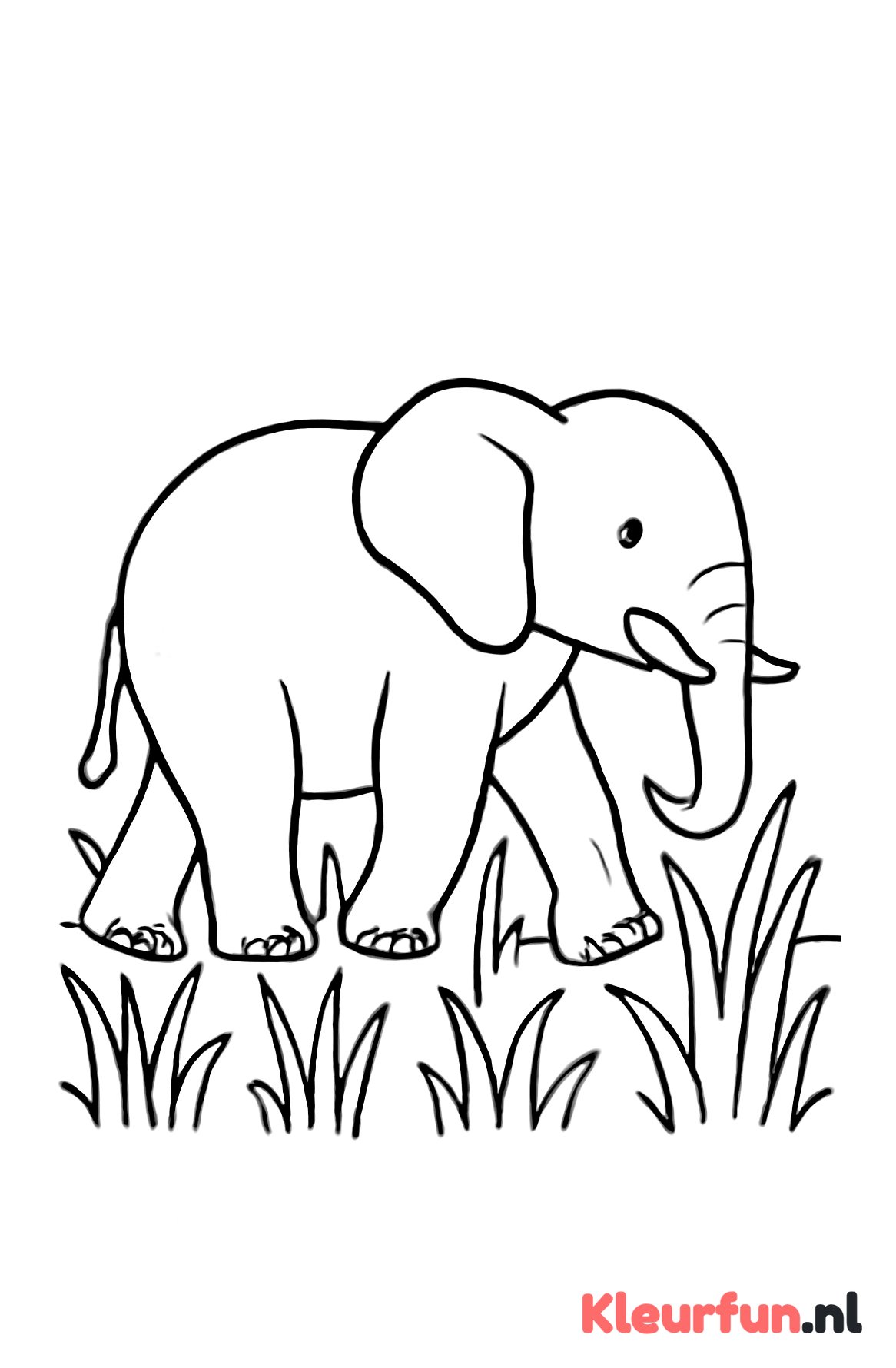 Olifant loopt door hoog gras