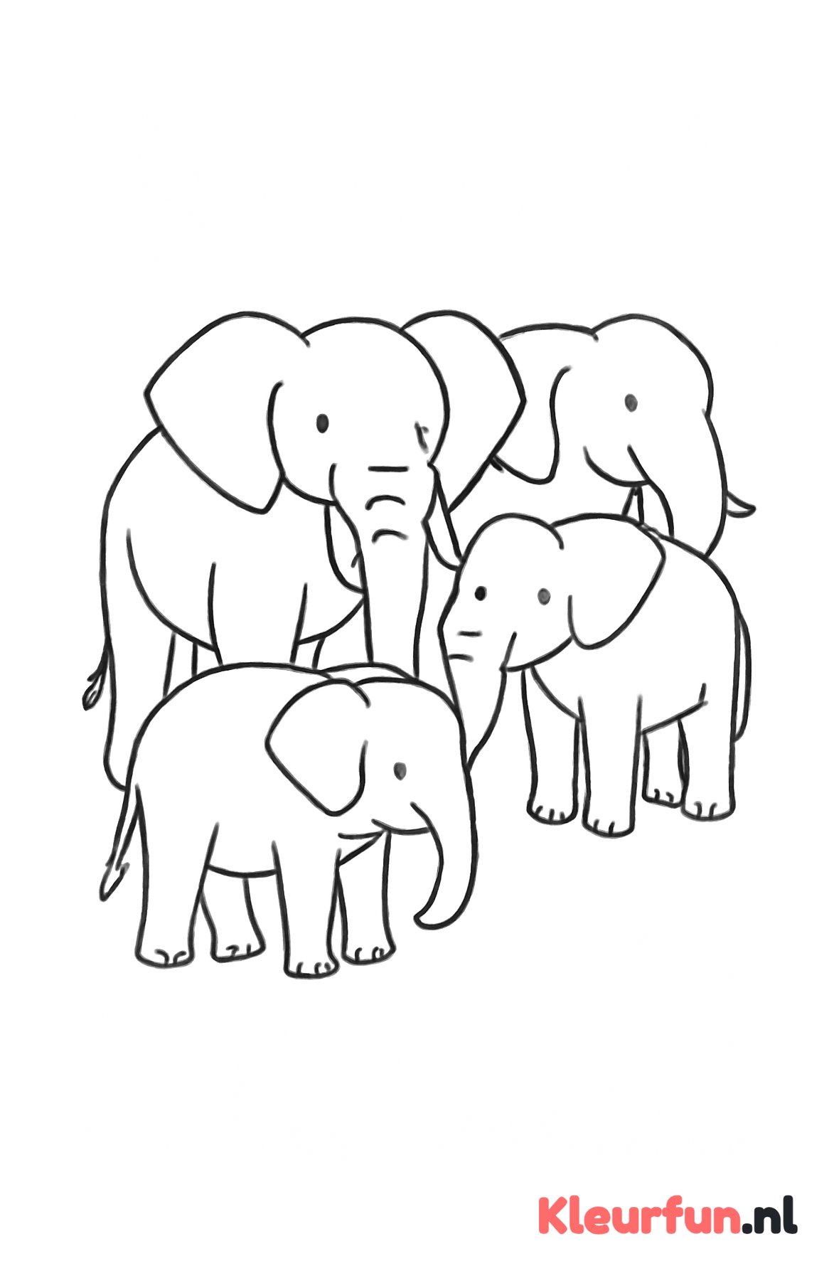 Olifant in een groep