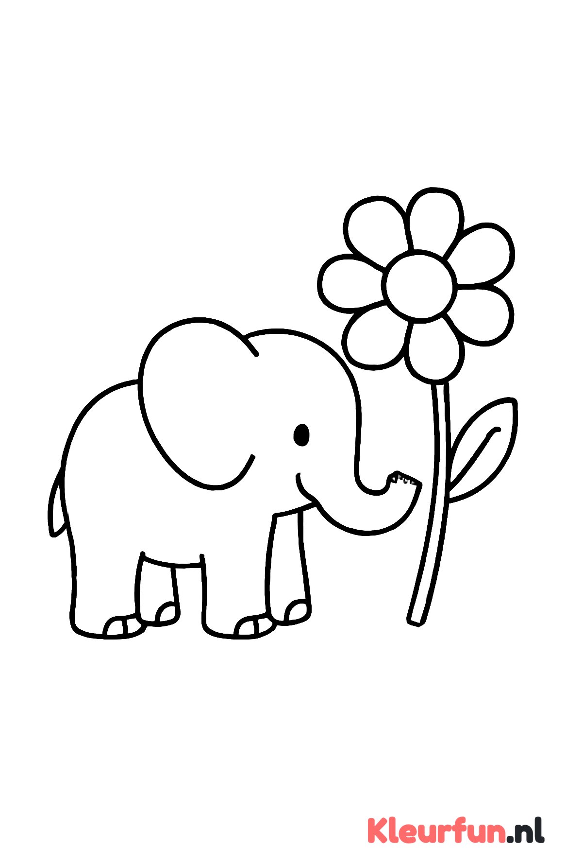 Olifant met bloem