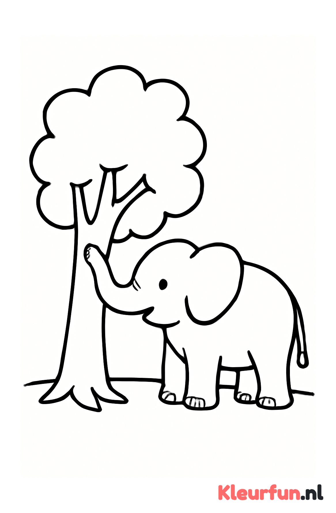 Olifant raakt een boom aan