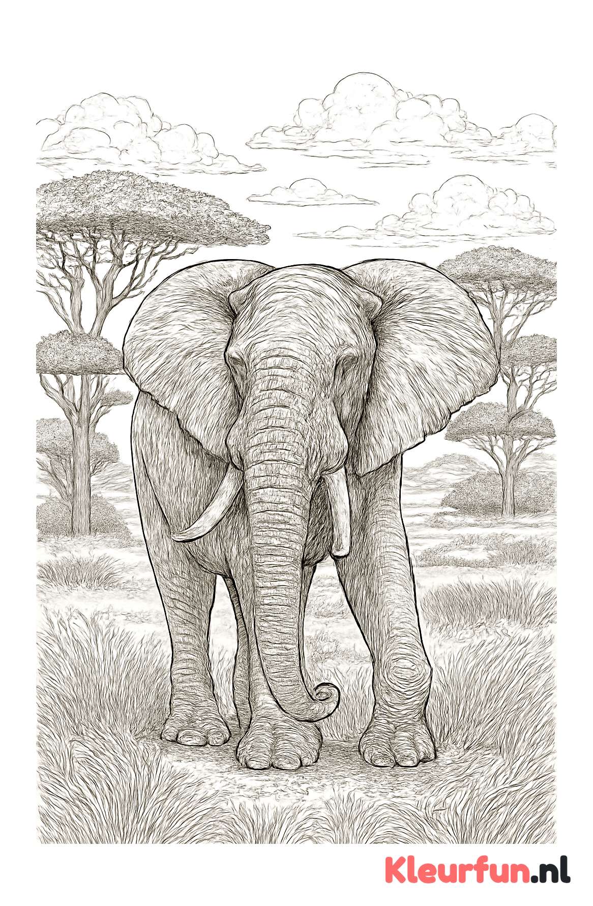 Olifant in de savanne