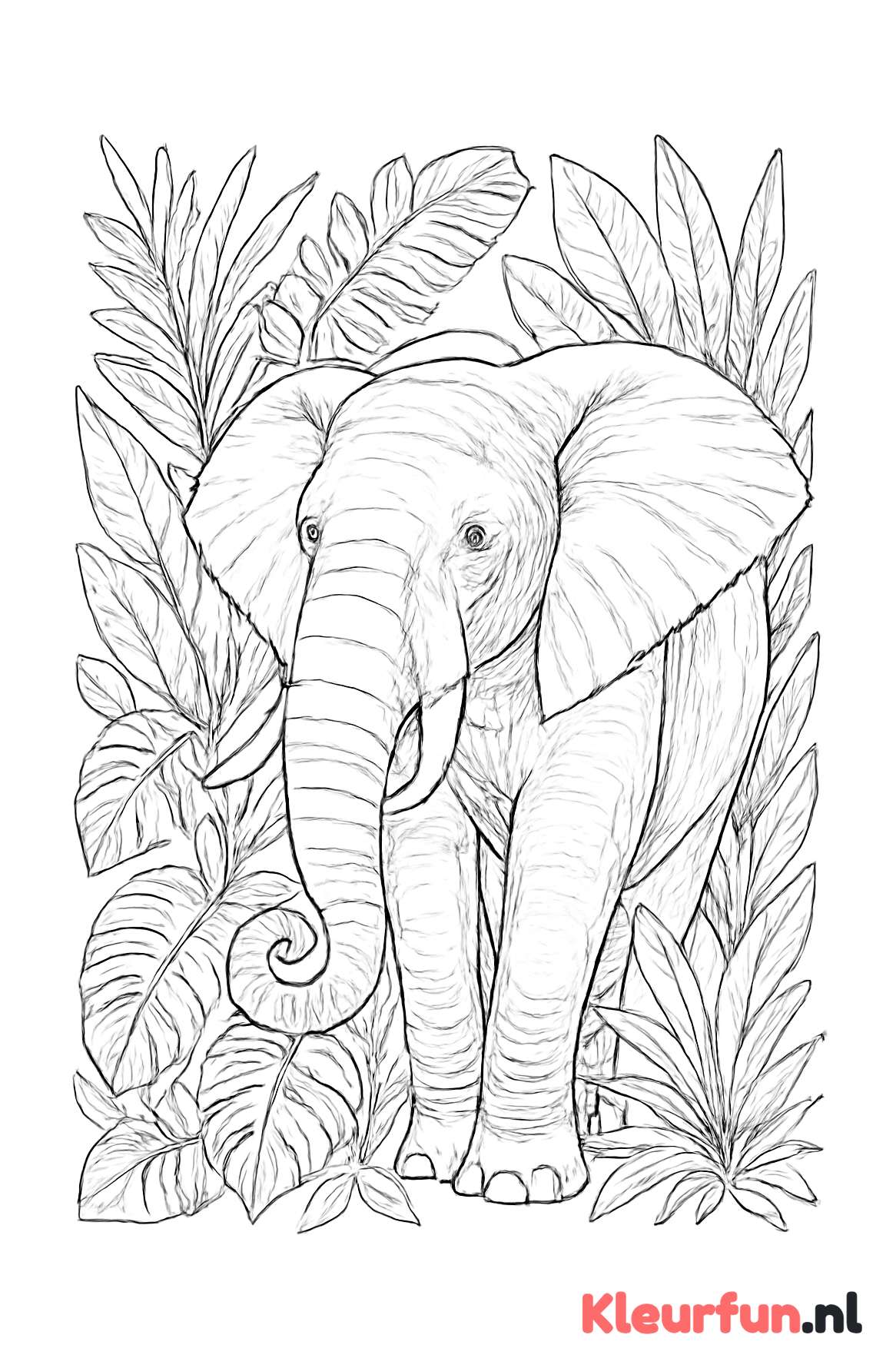 Olifant met sierlijke slurf