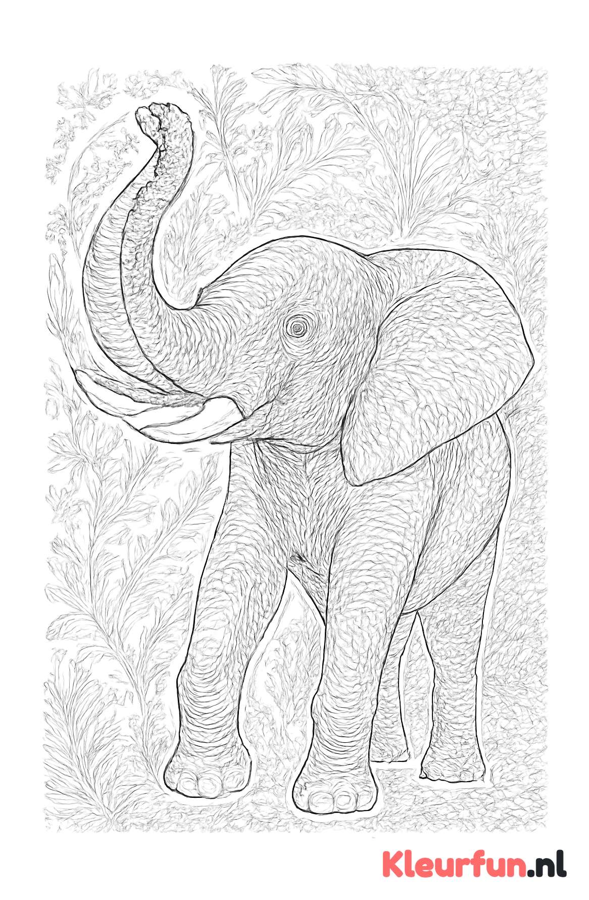 Olifant met opgetilde slurf
