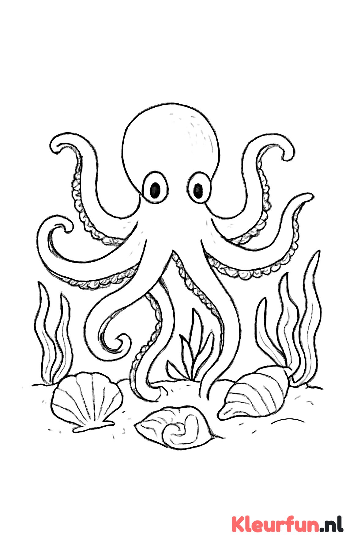 Octopus tussen schelpen en planten