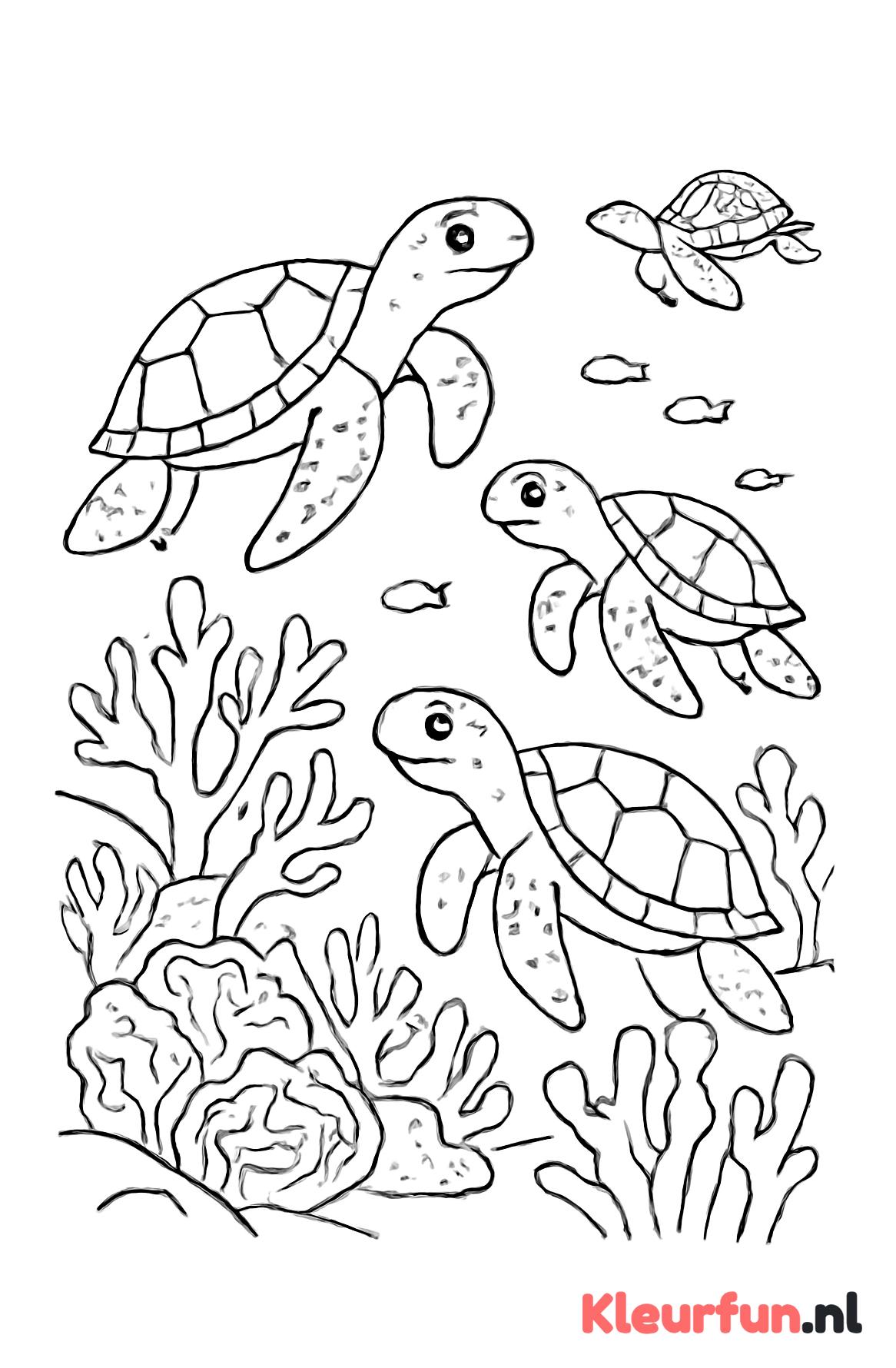 Zeeschildpadden in het koraal