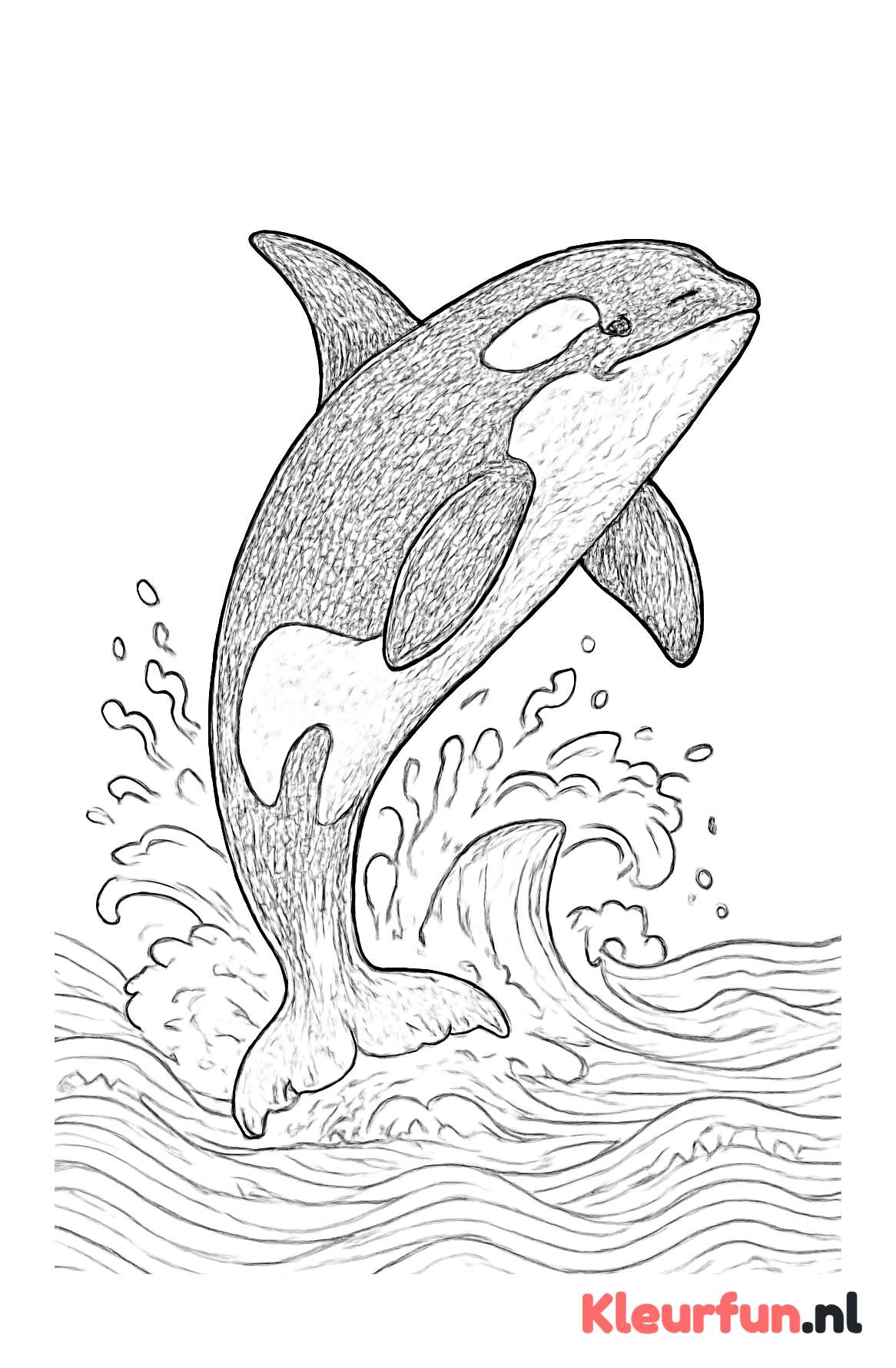 Orka springt uit water